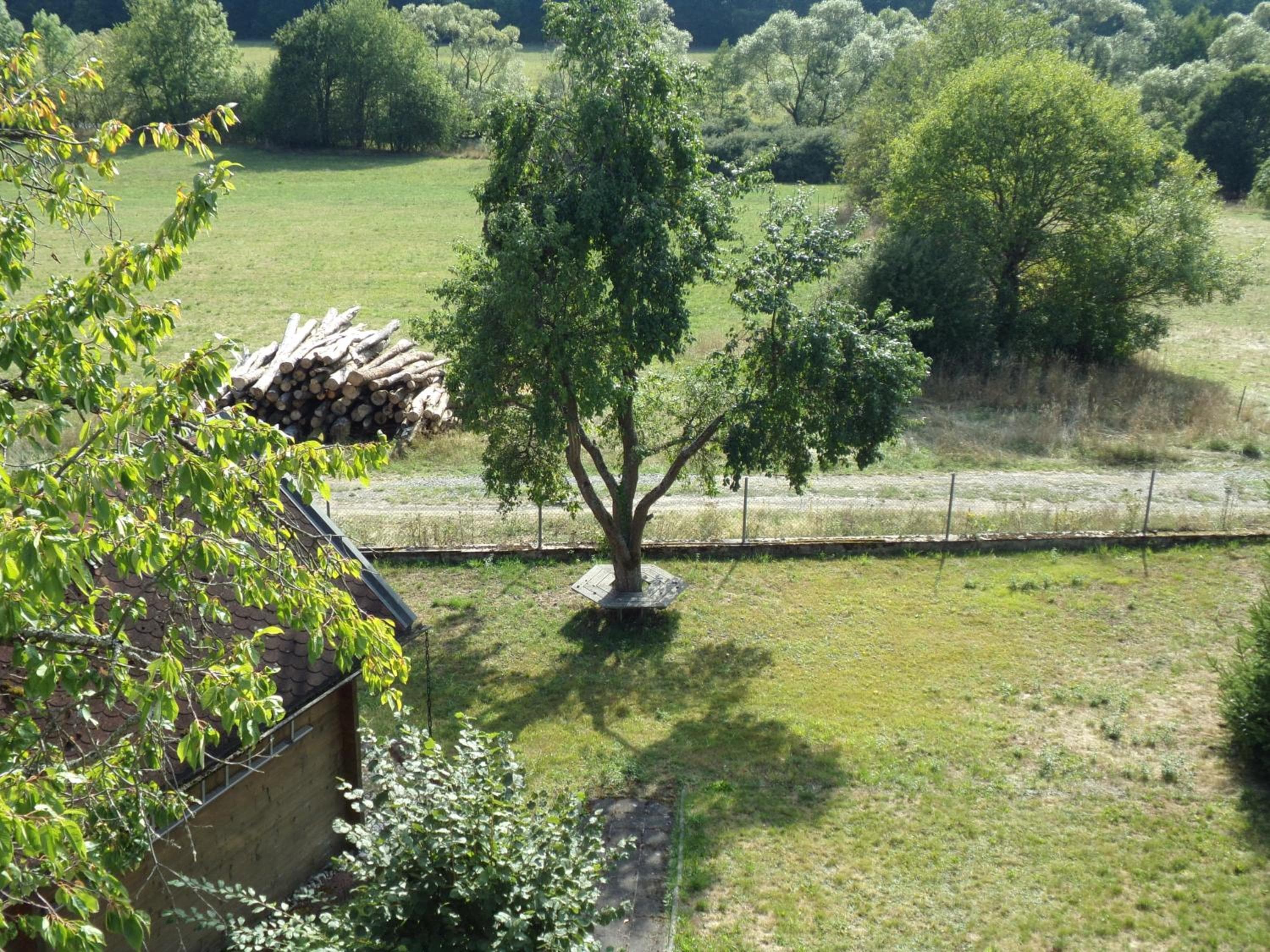 Photo 29