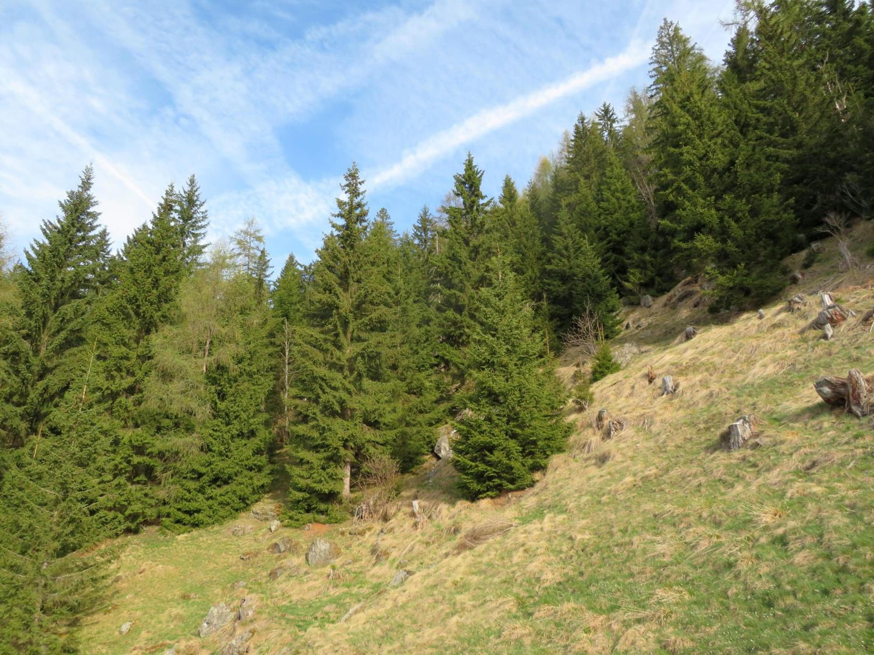 Photo 34