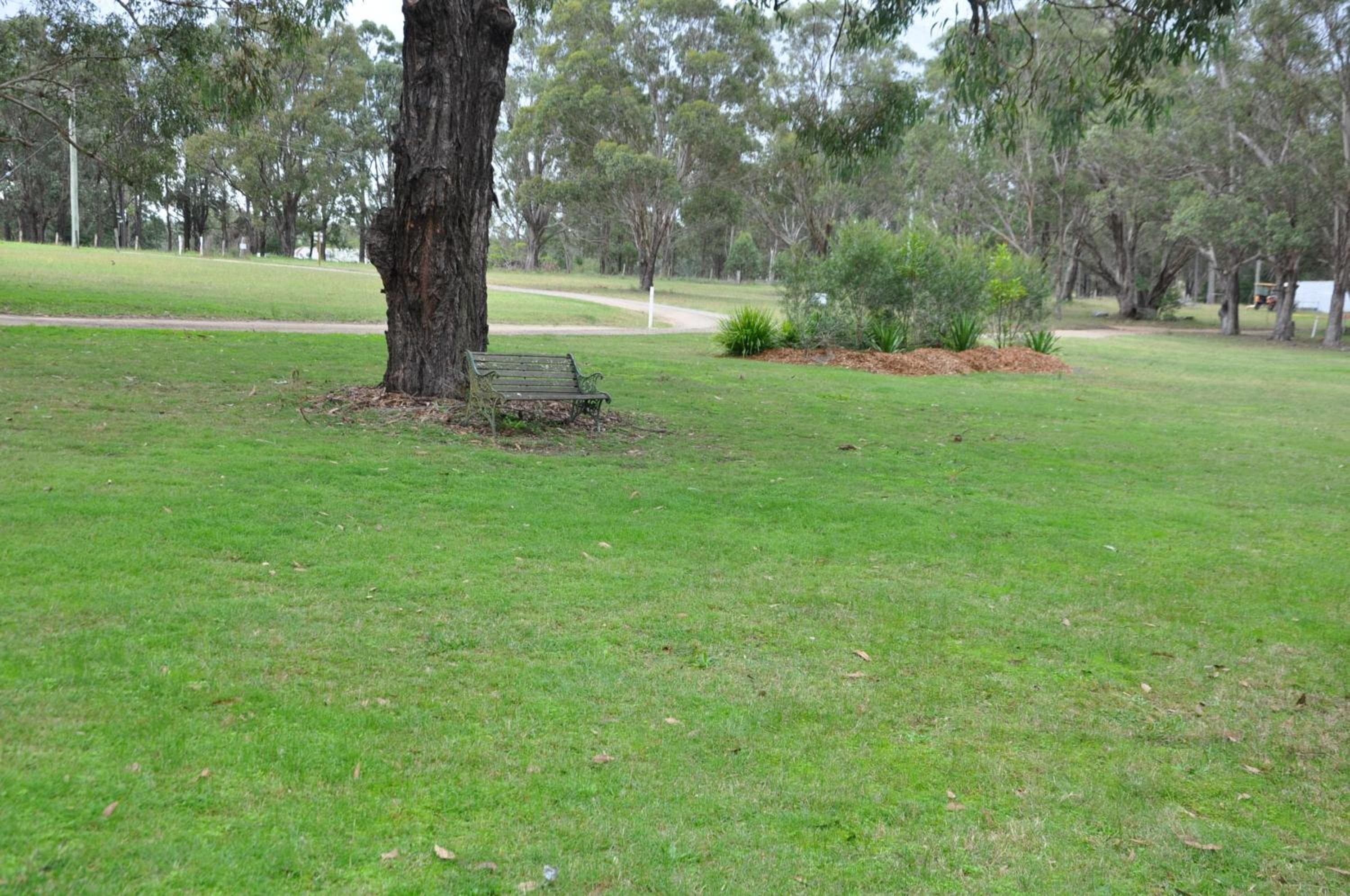 Photo 46