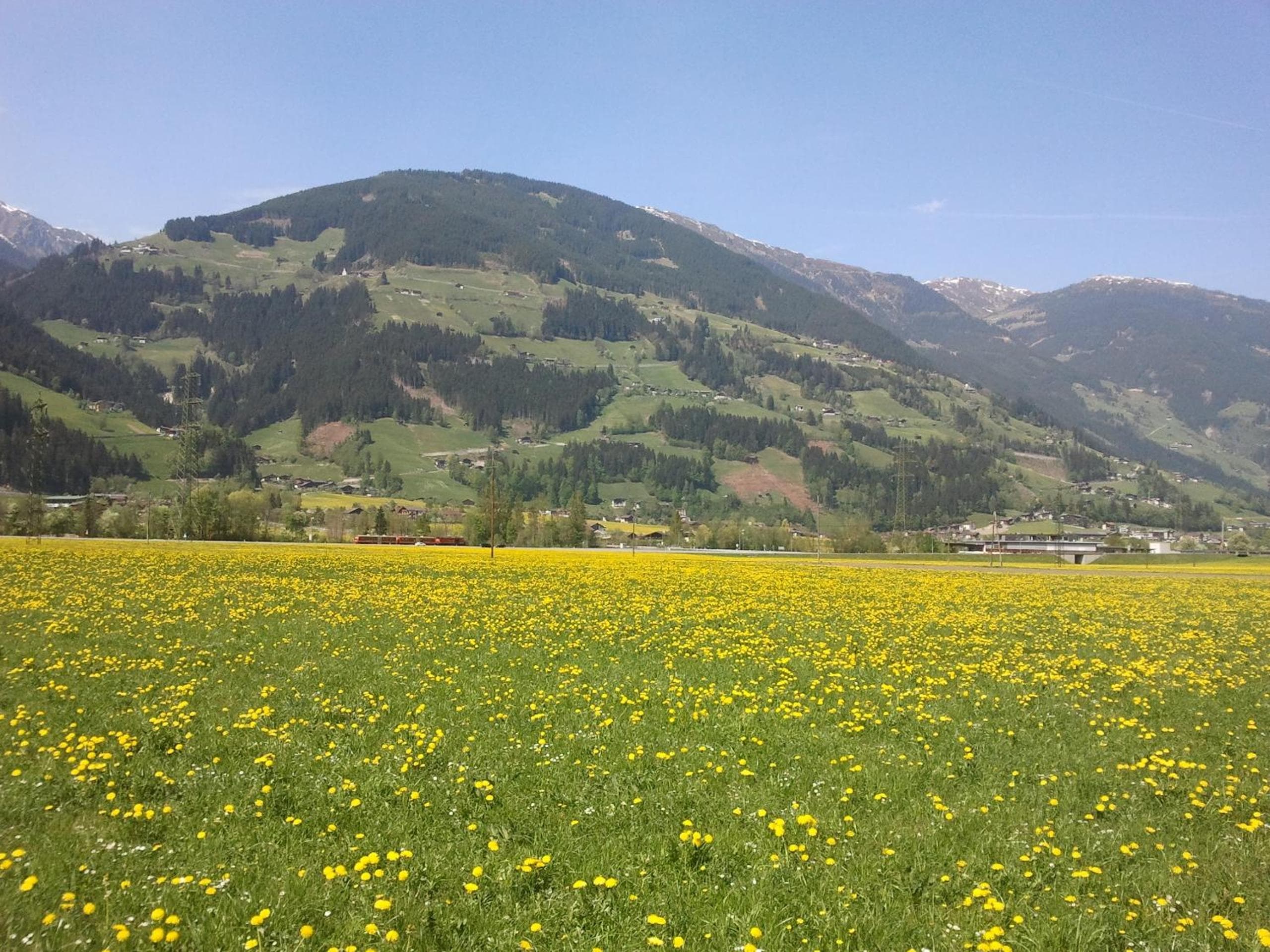 Photo 25