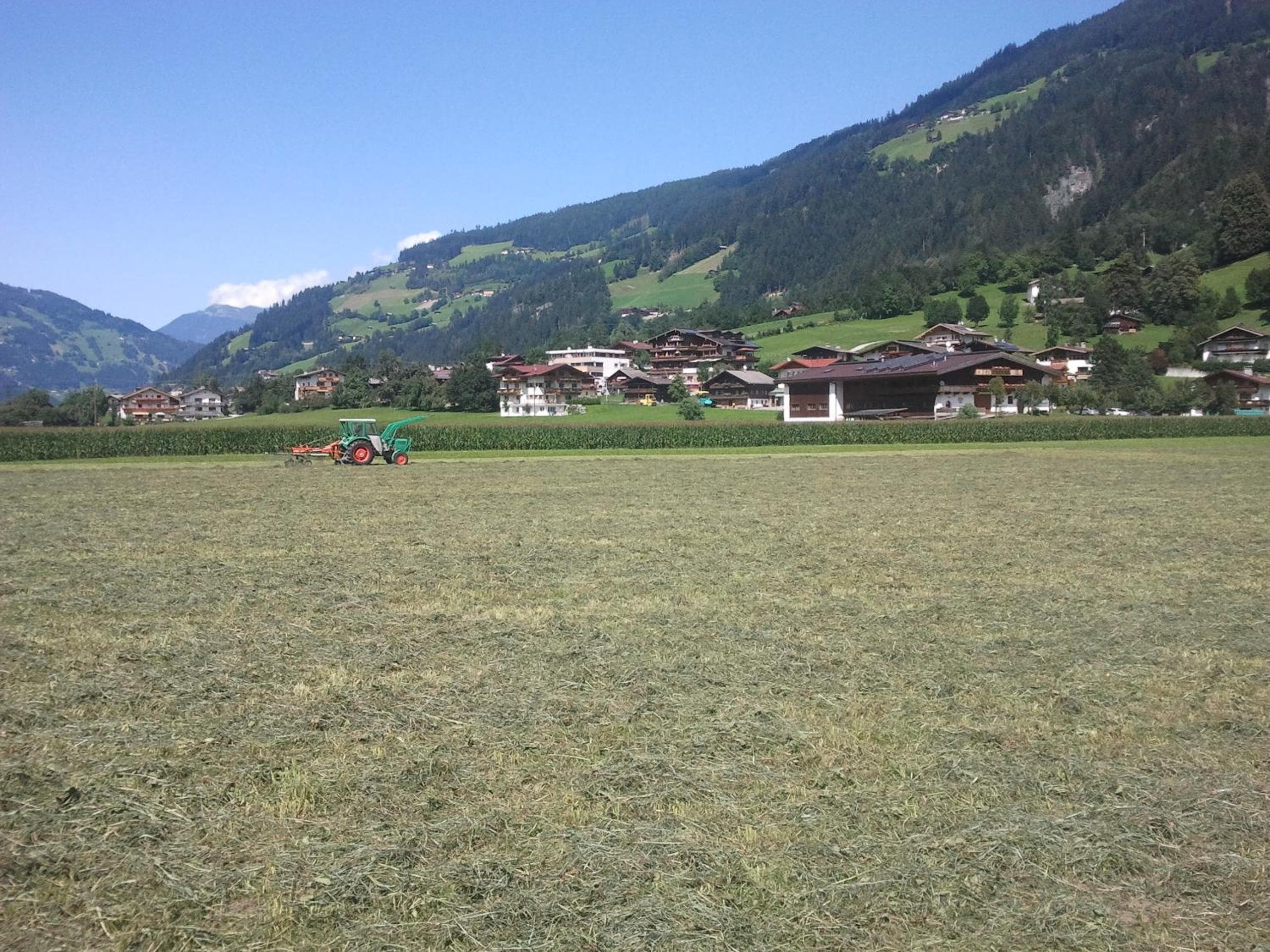 Photo 48