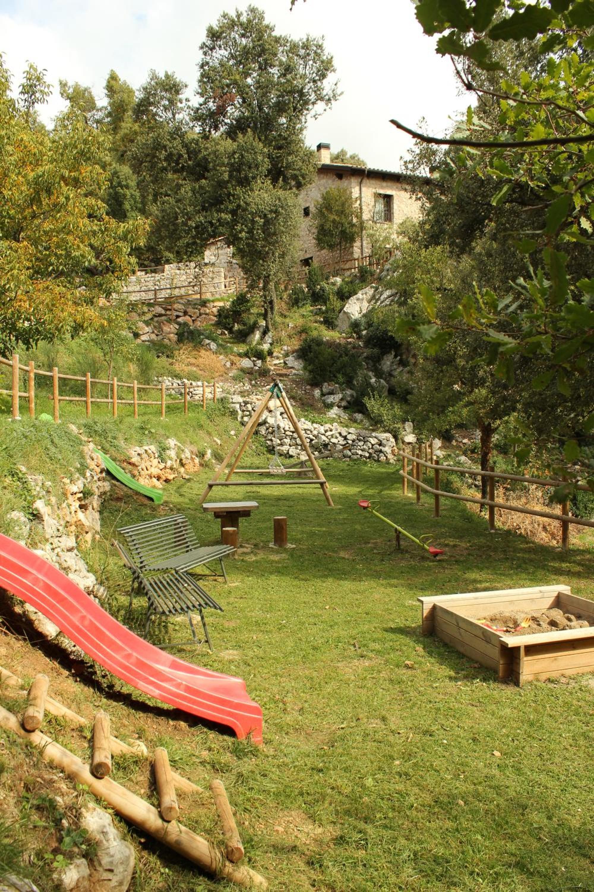 Photo 11