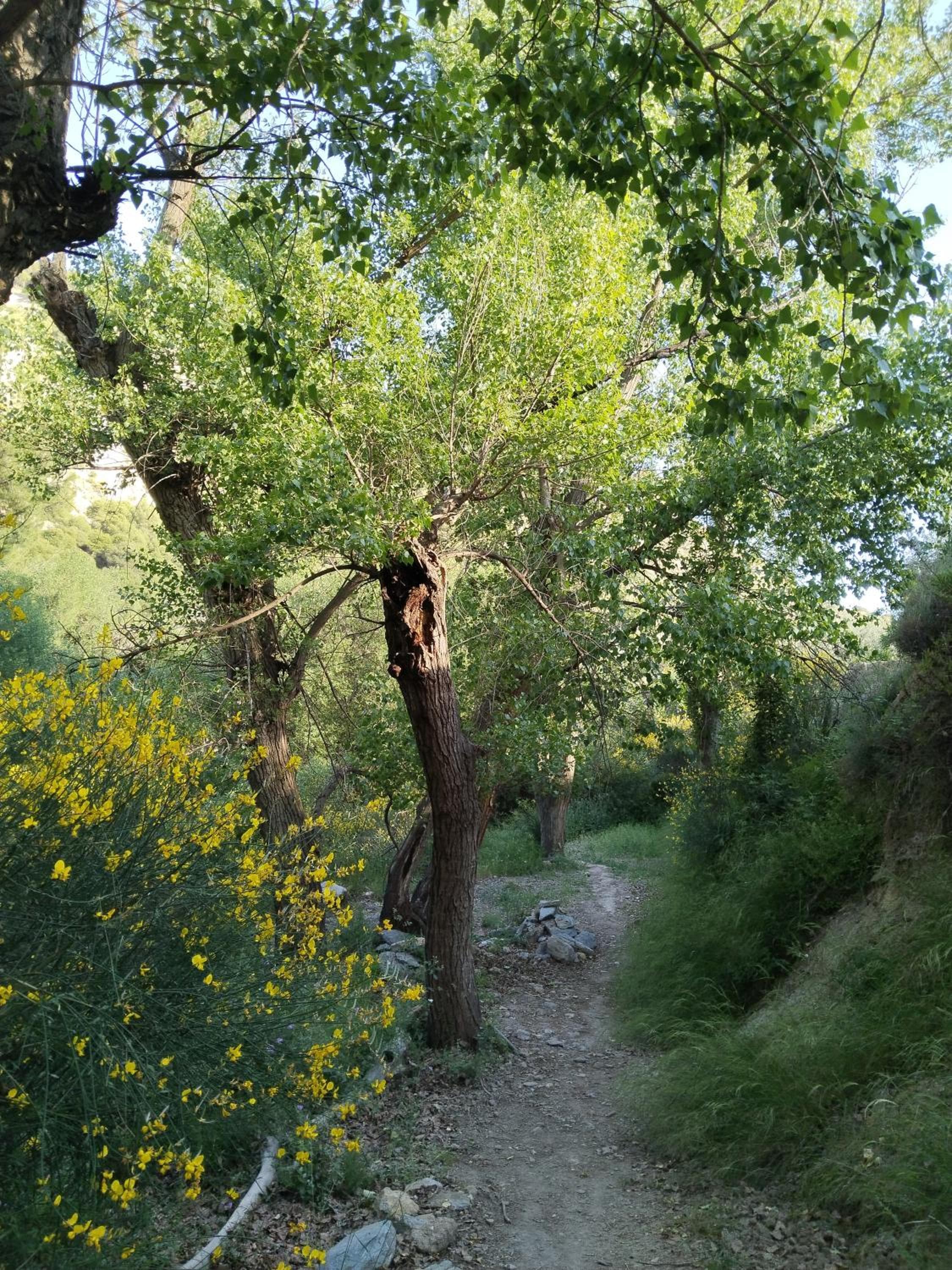 Photo 35