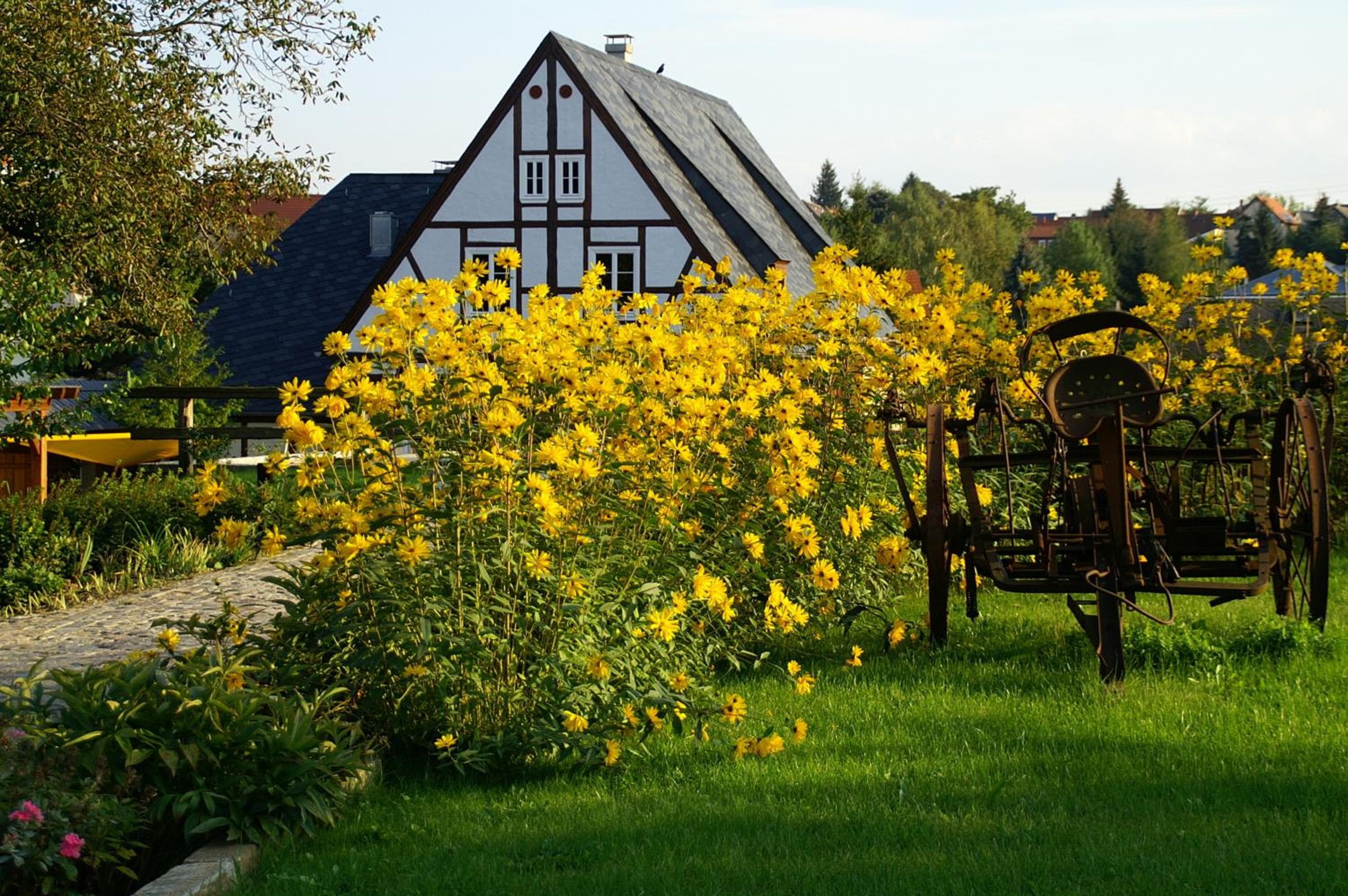 Photo 20
