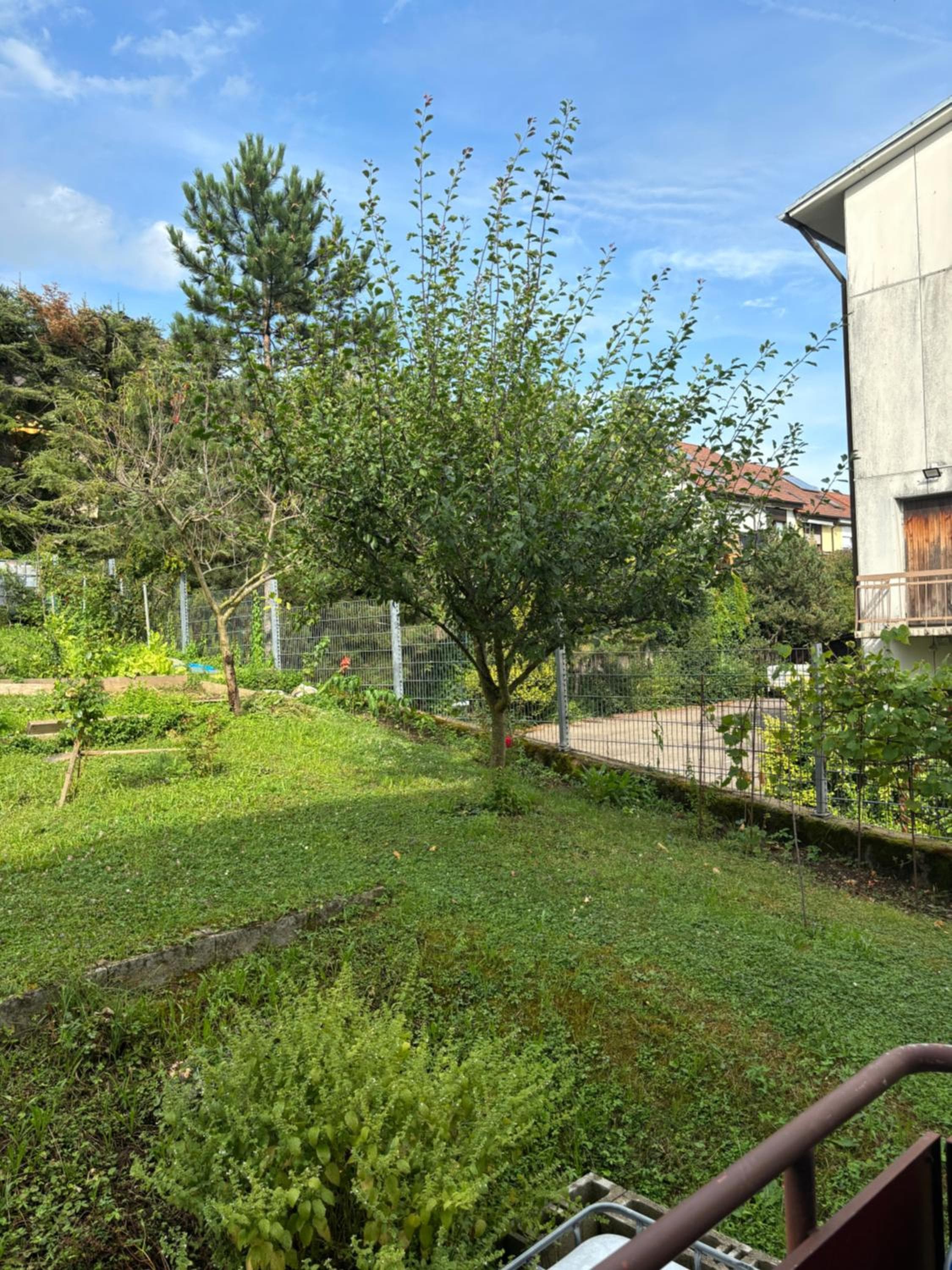 Photo 22