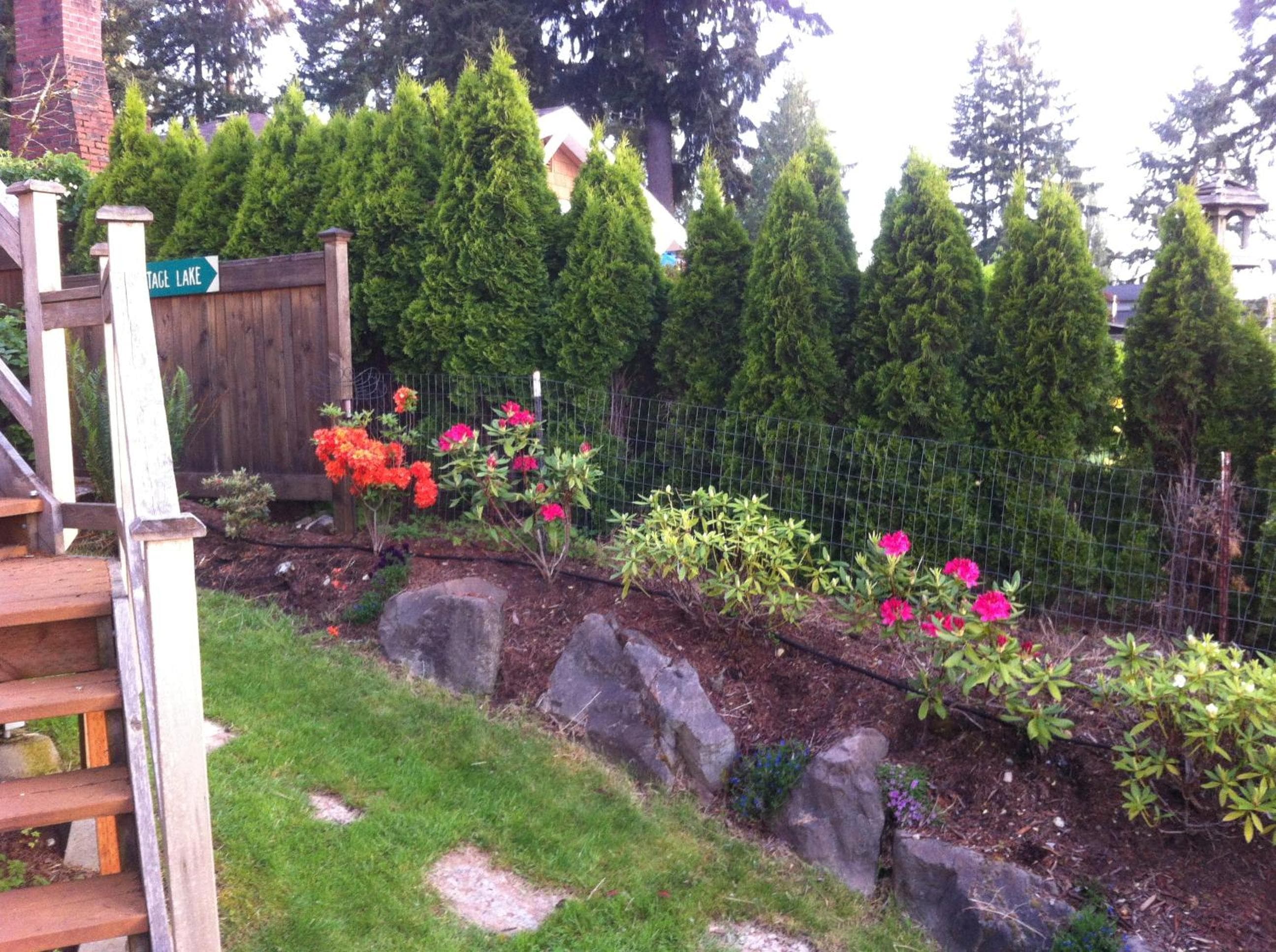 Photo 21