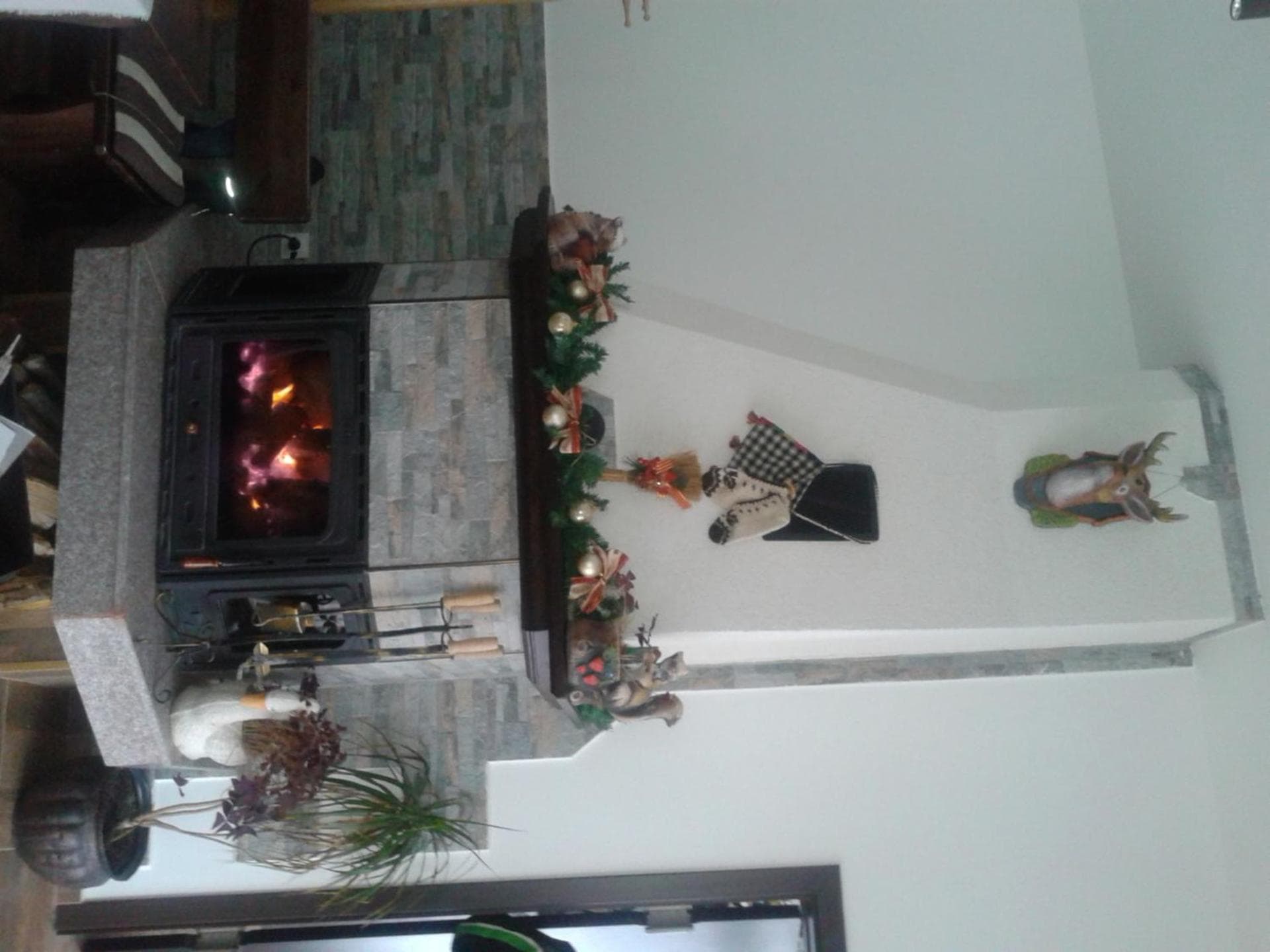 Photo 38