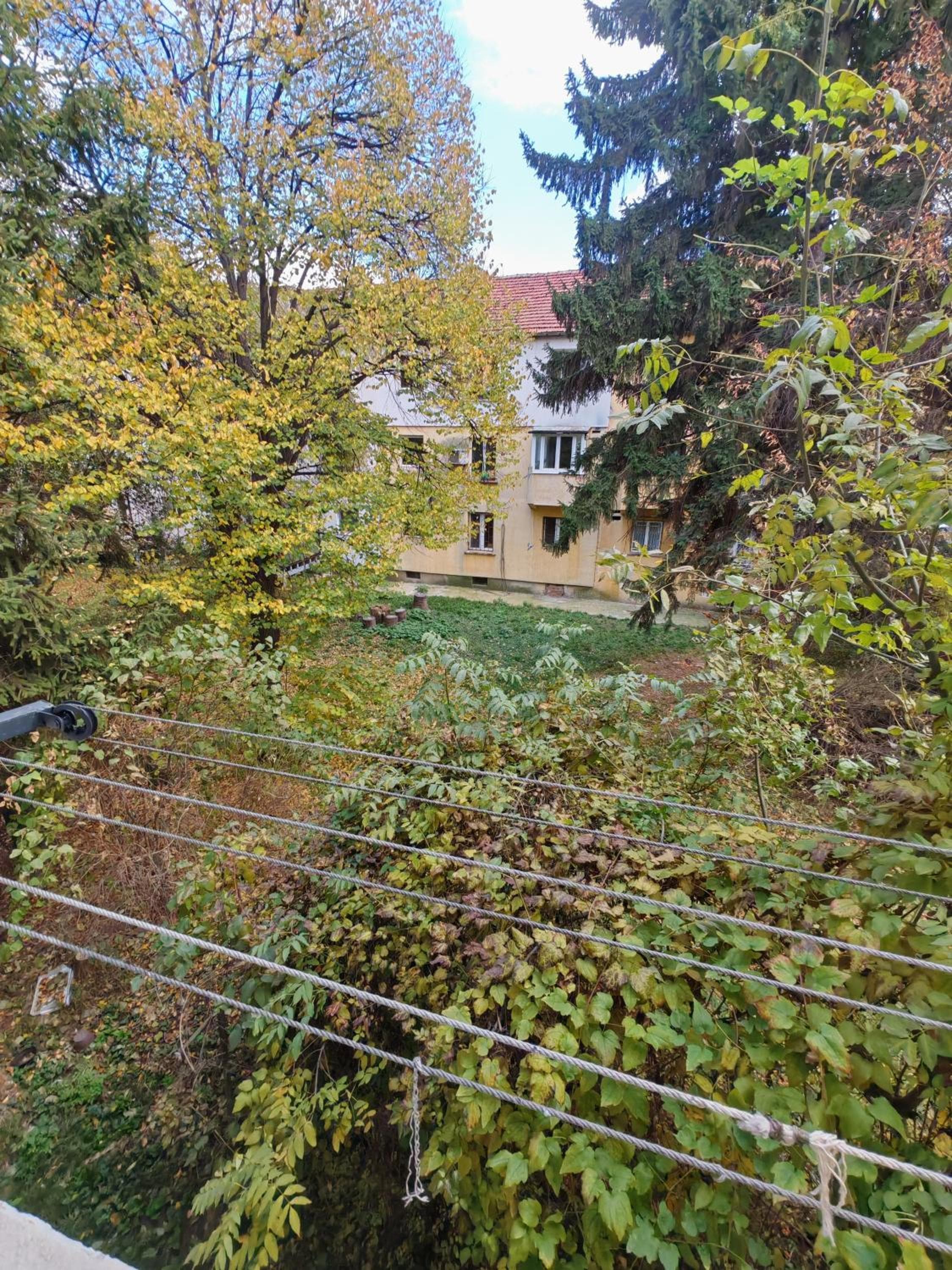 Photo 31