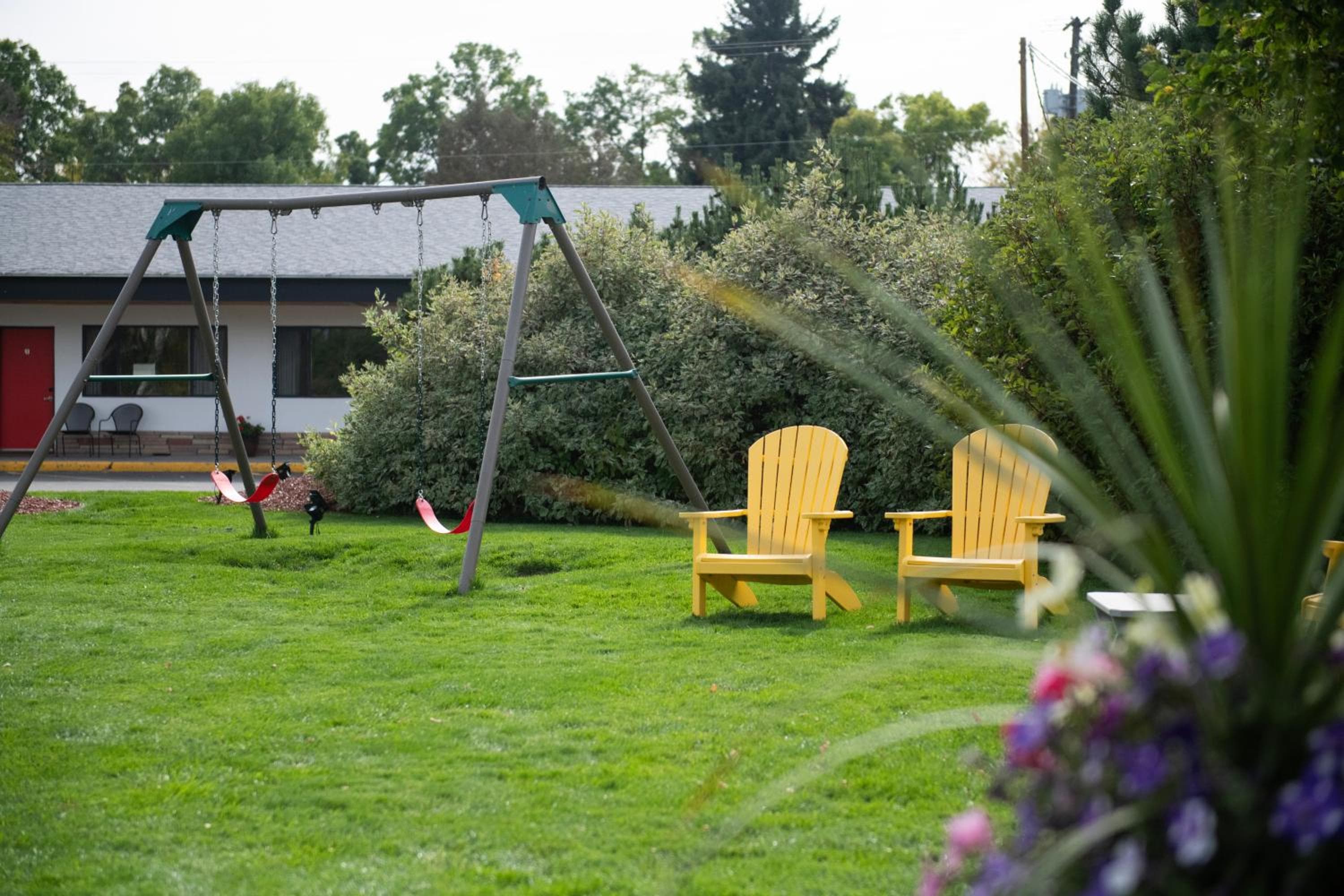Photo 41