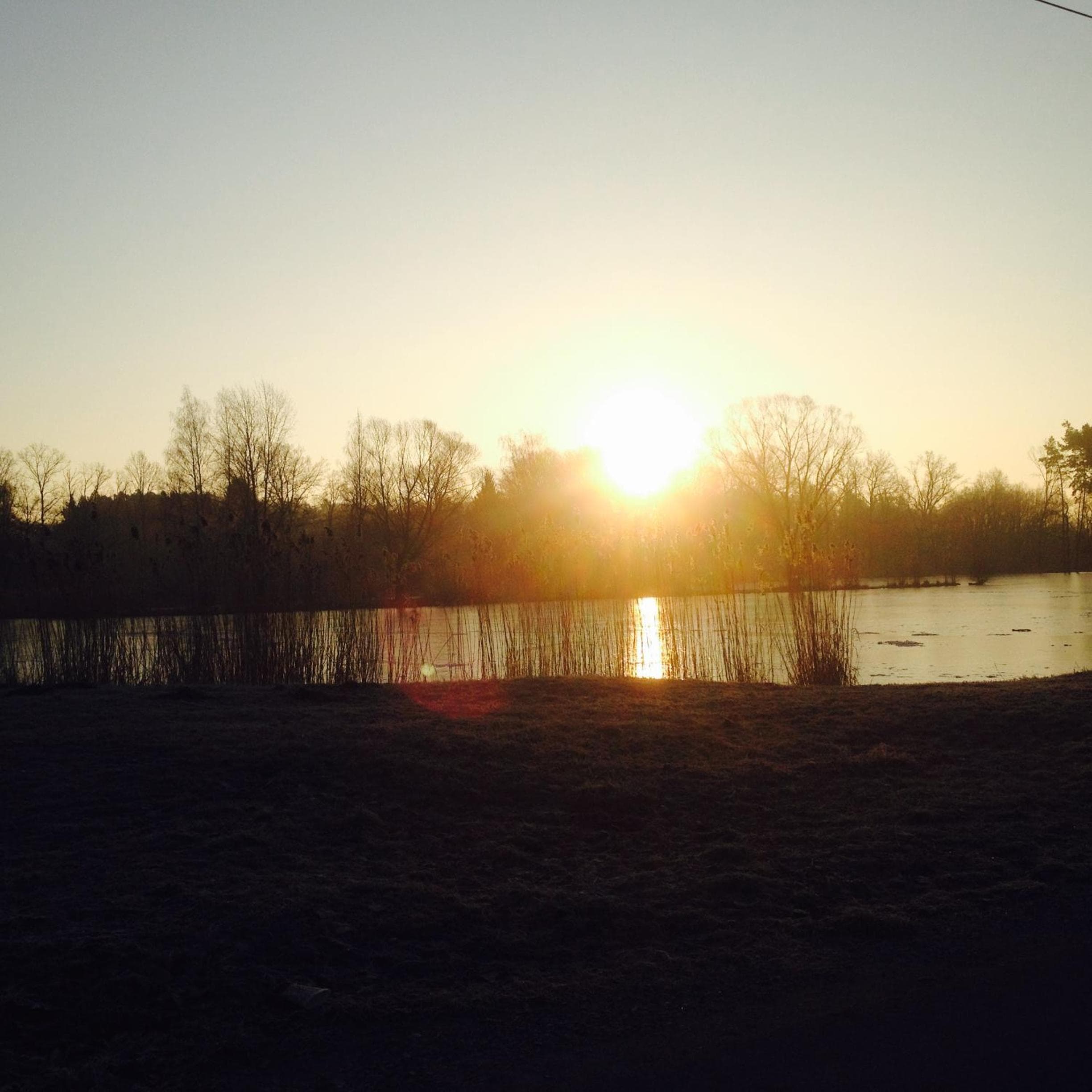 Photo 31