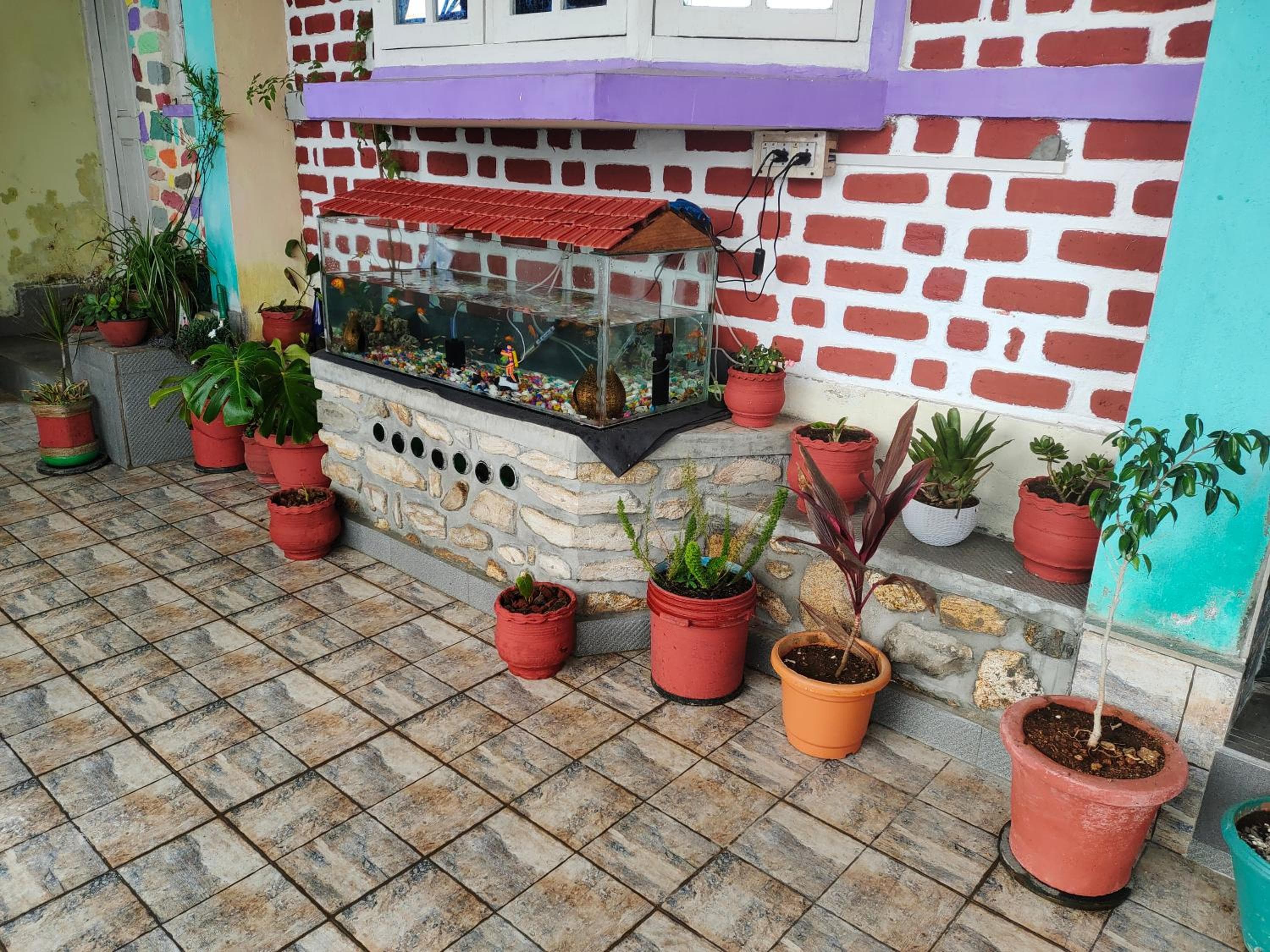 Photo 17