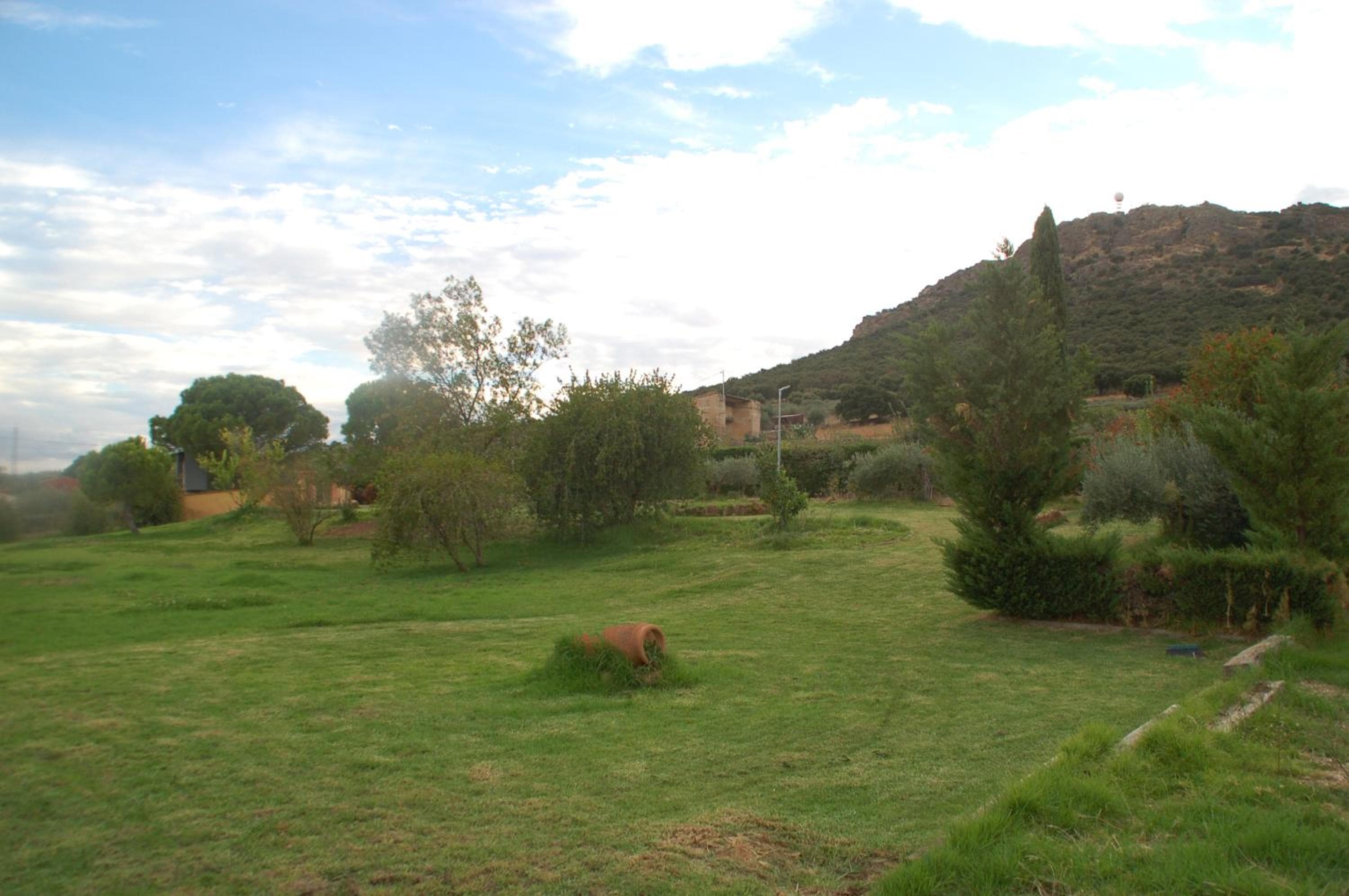 Photo 35
