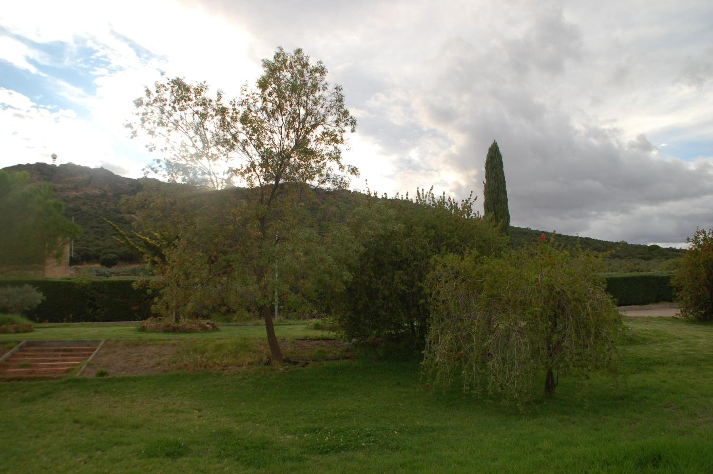 Photo 68