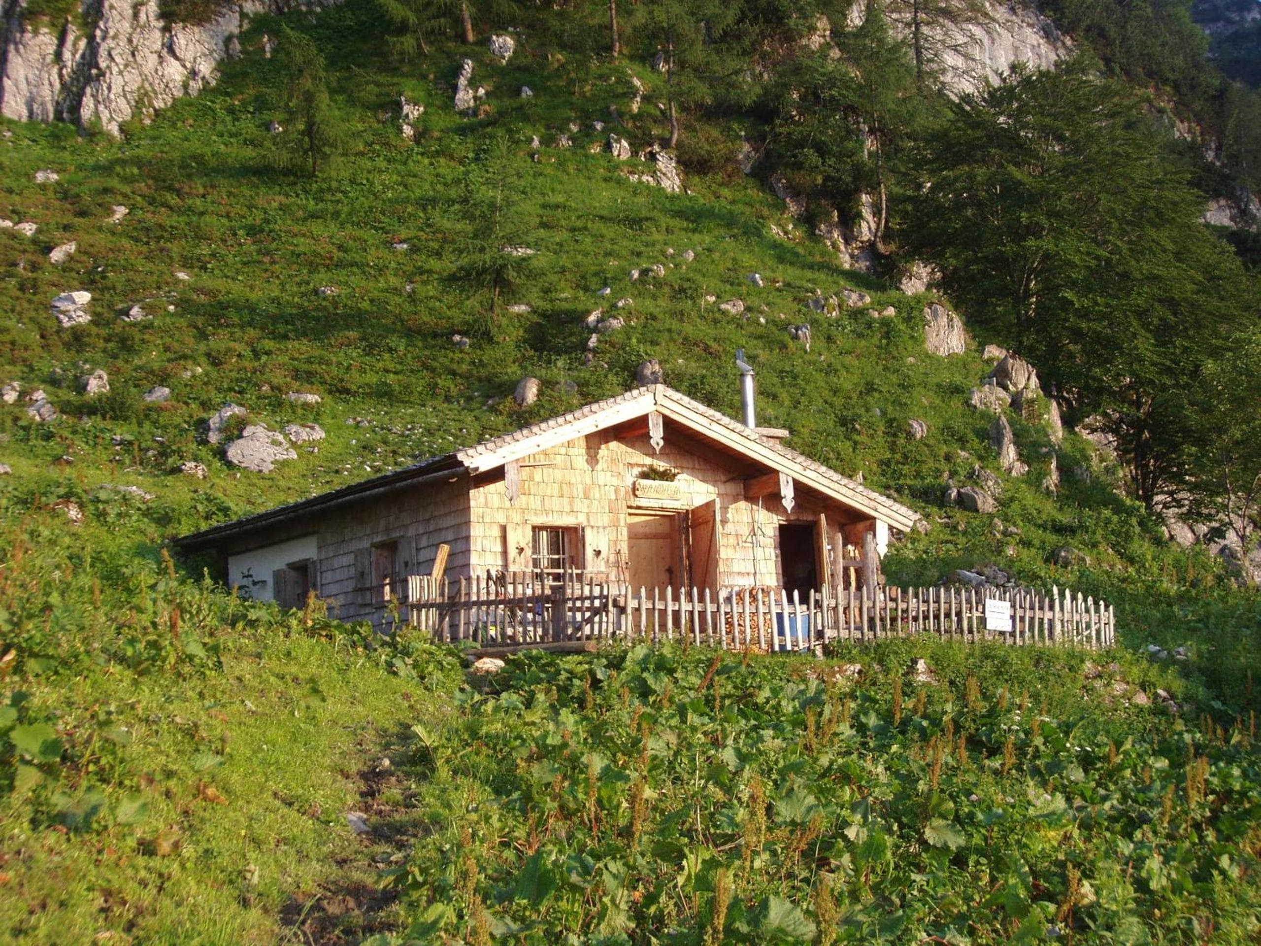 Photo 16