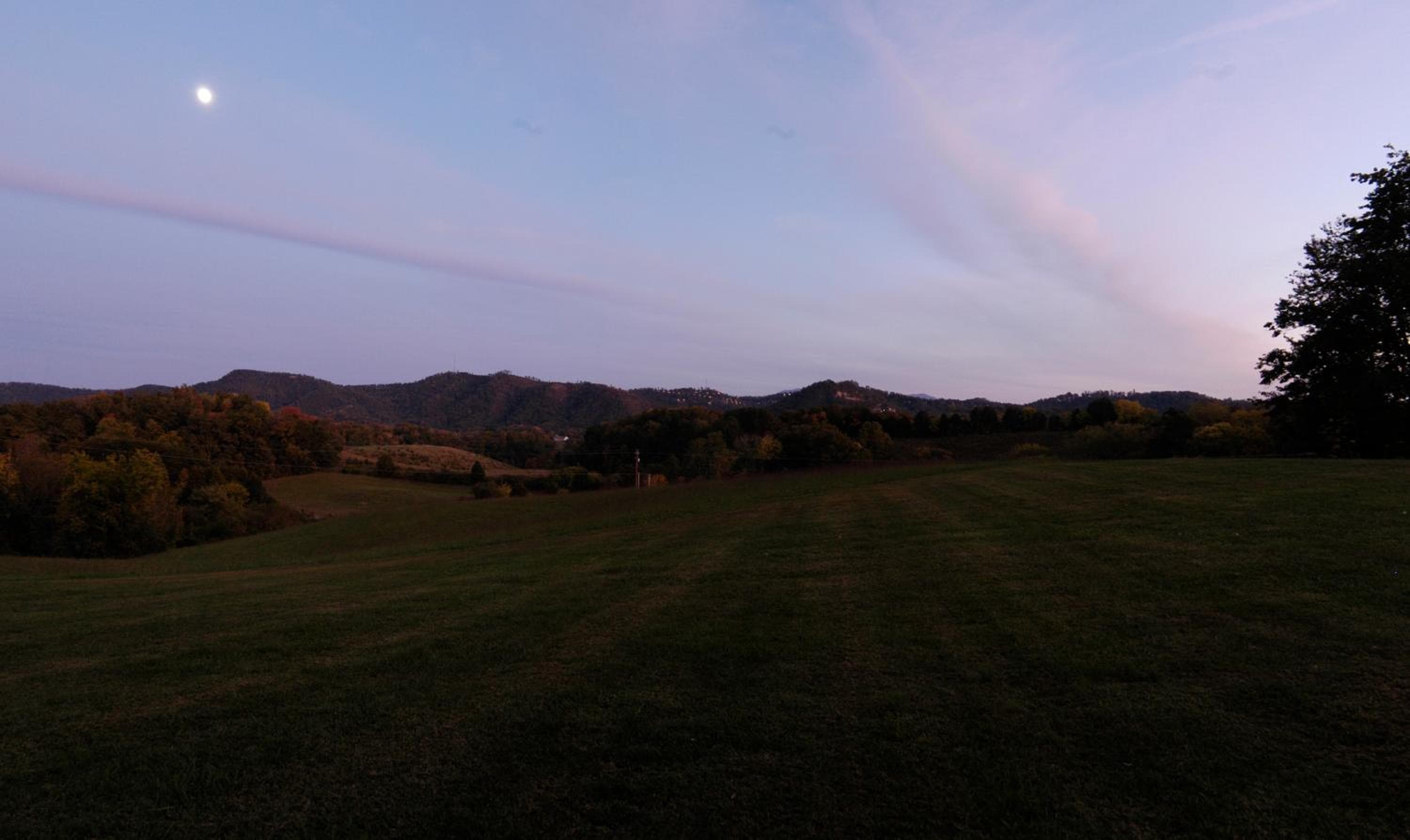 Photo 48