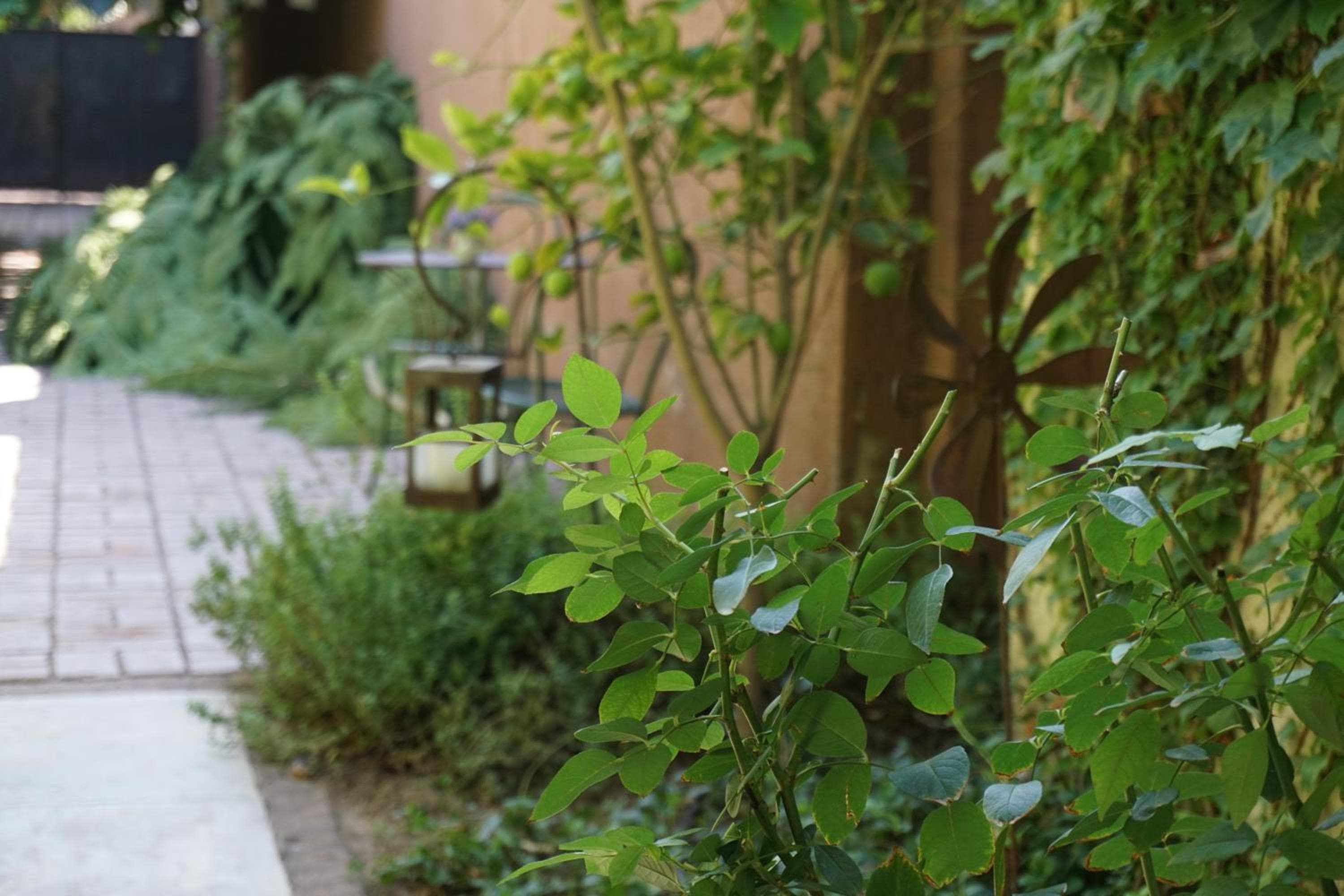Photo 9