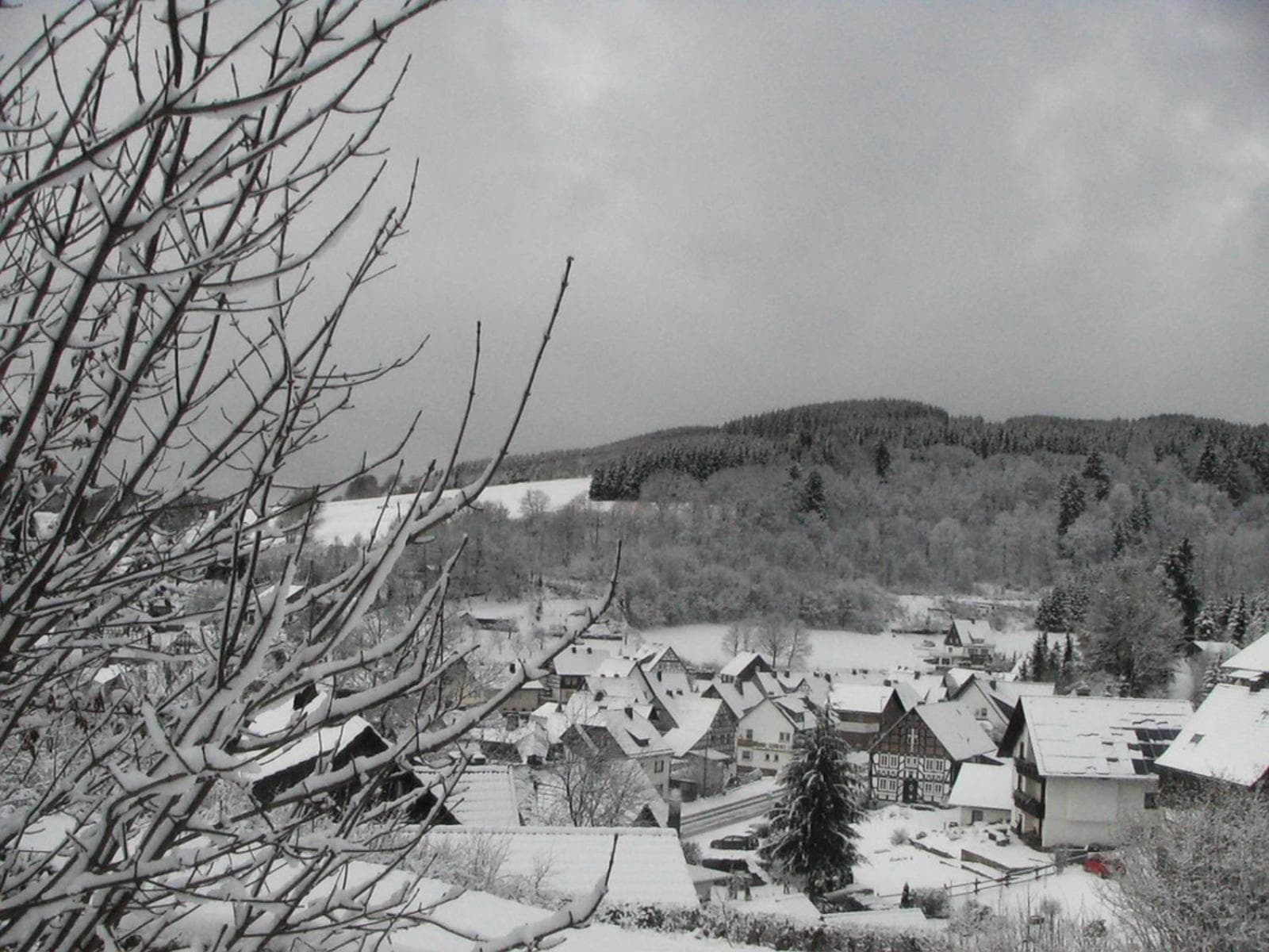 Photo 20