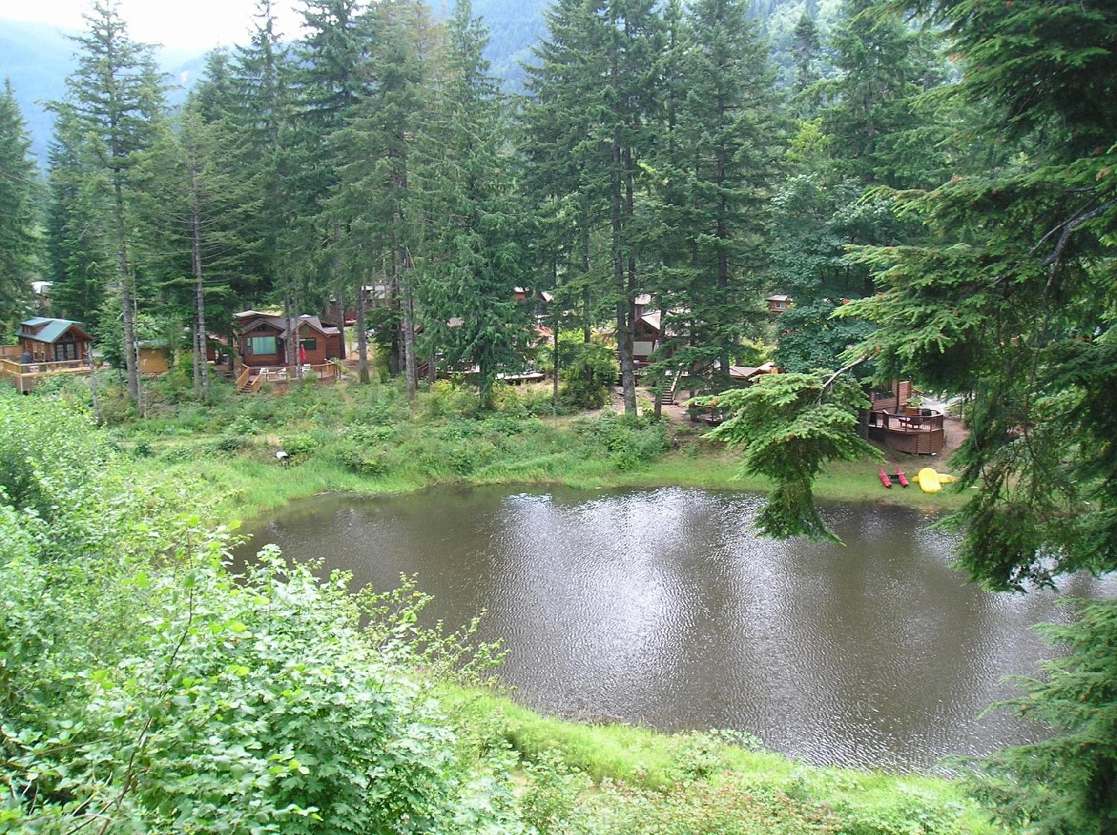 Photo 48