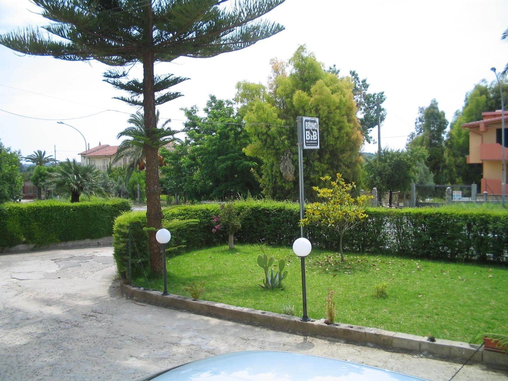 Photo 4
