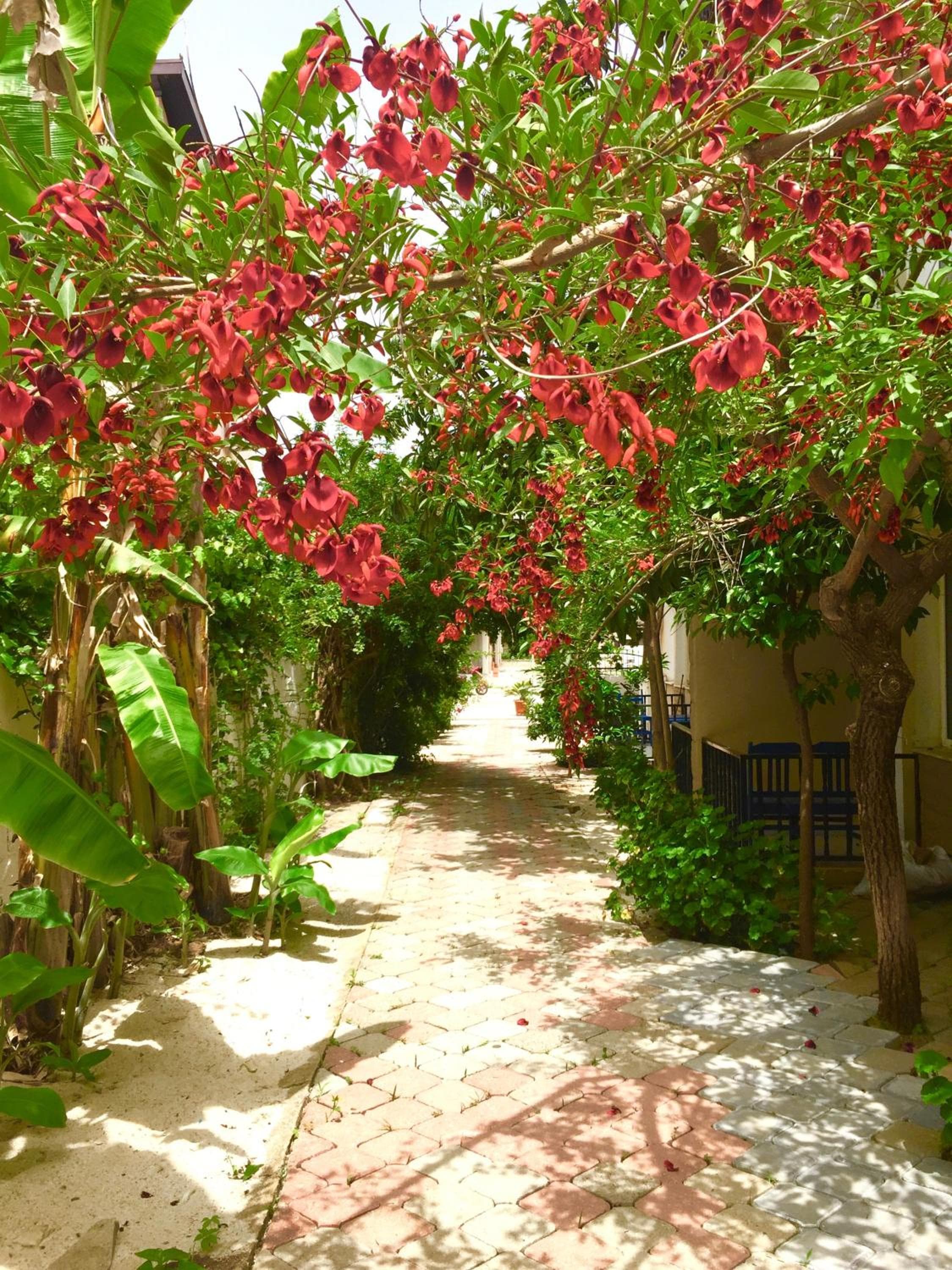 Photo 20