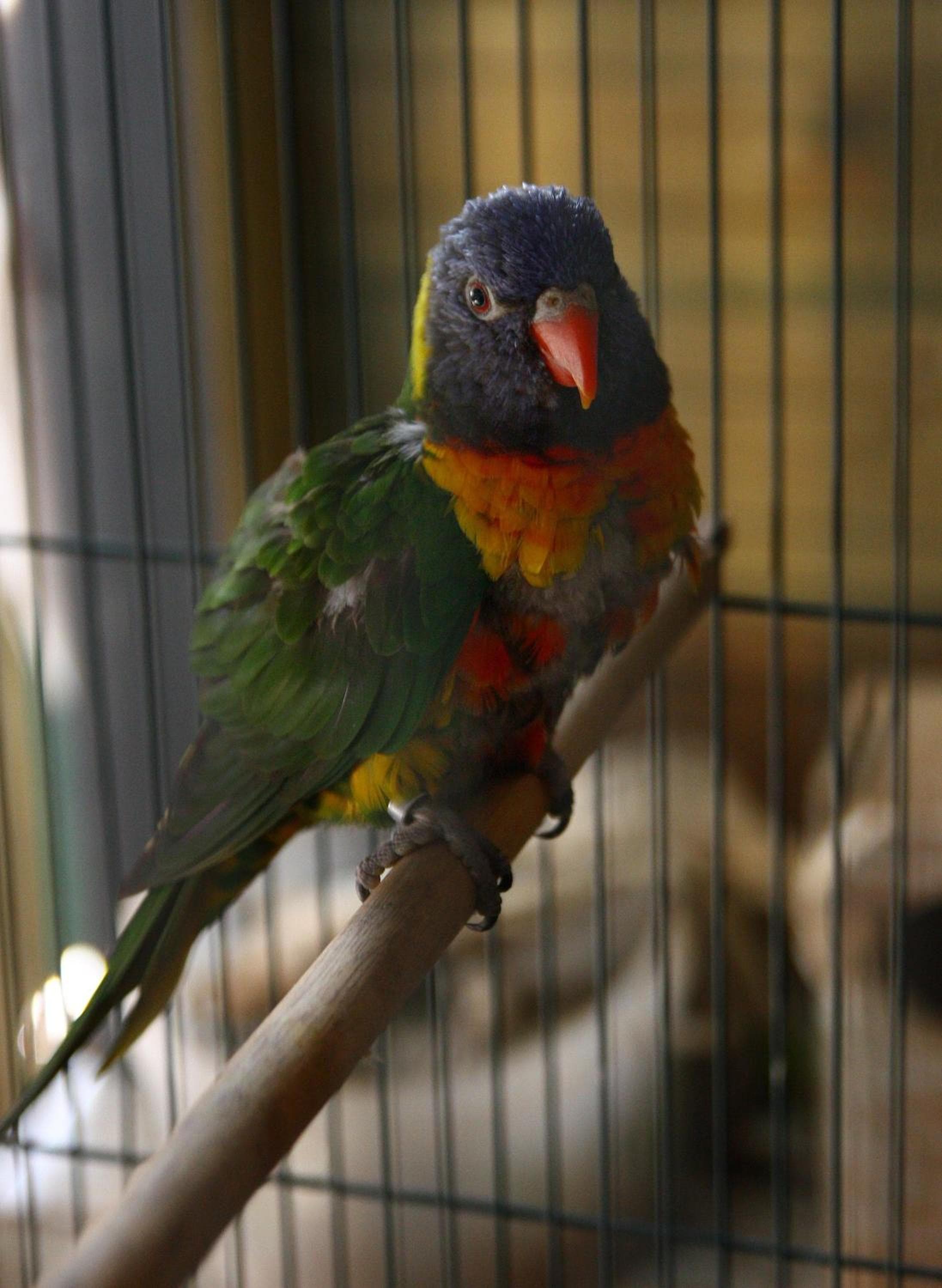 Photo 16