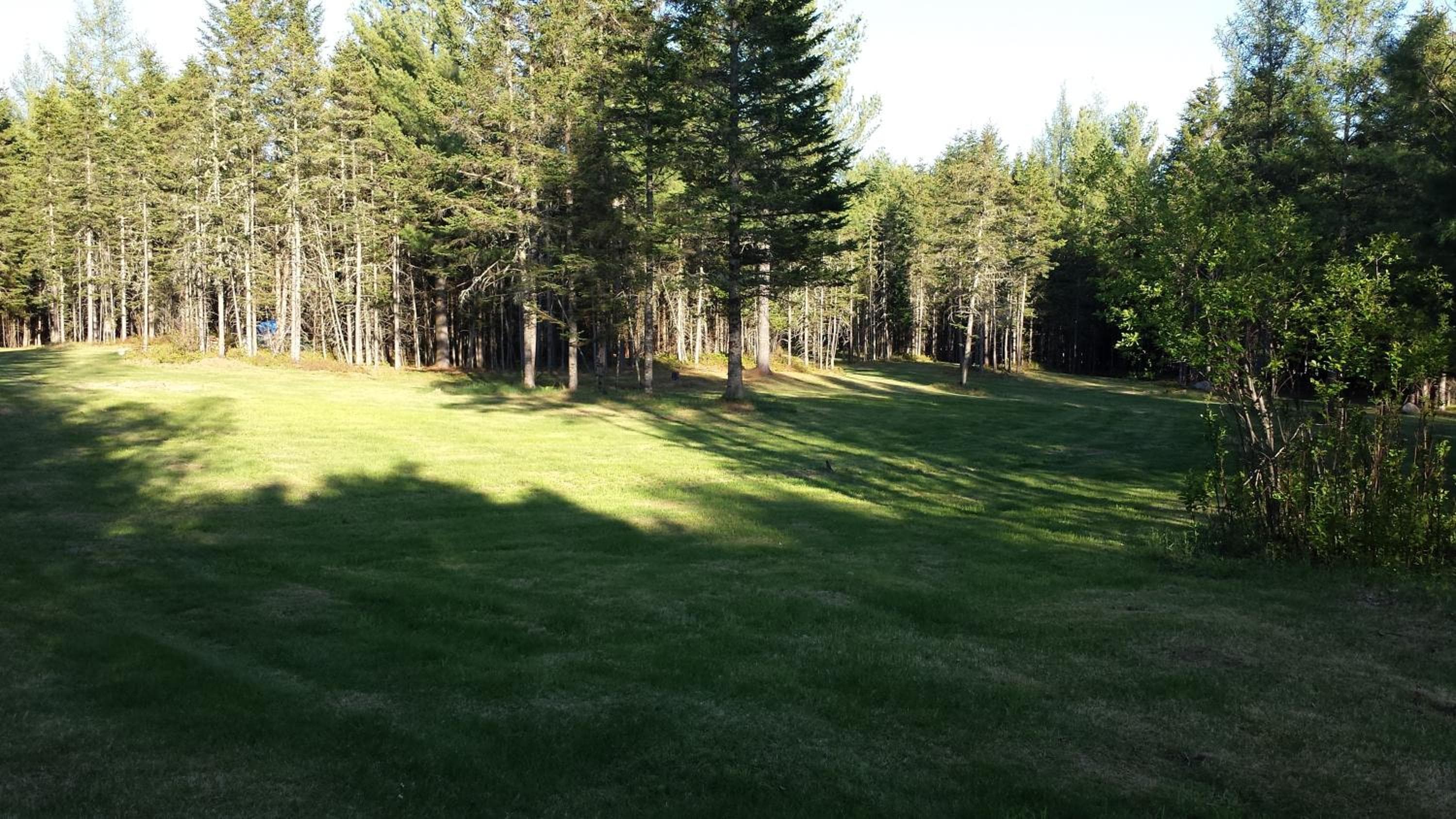 Photo 46