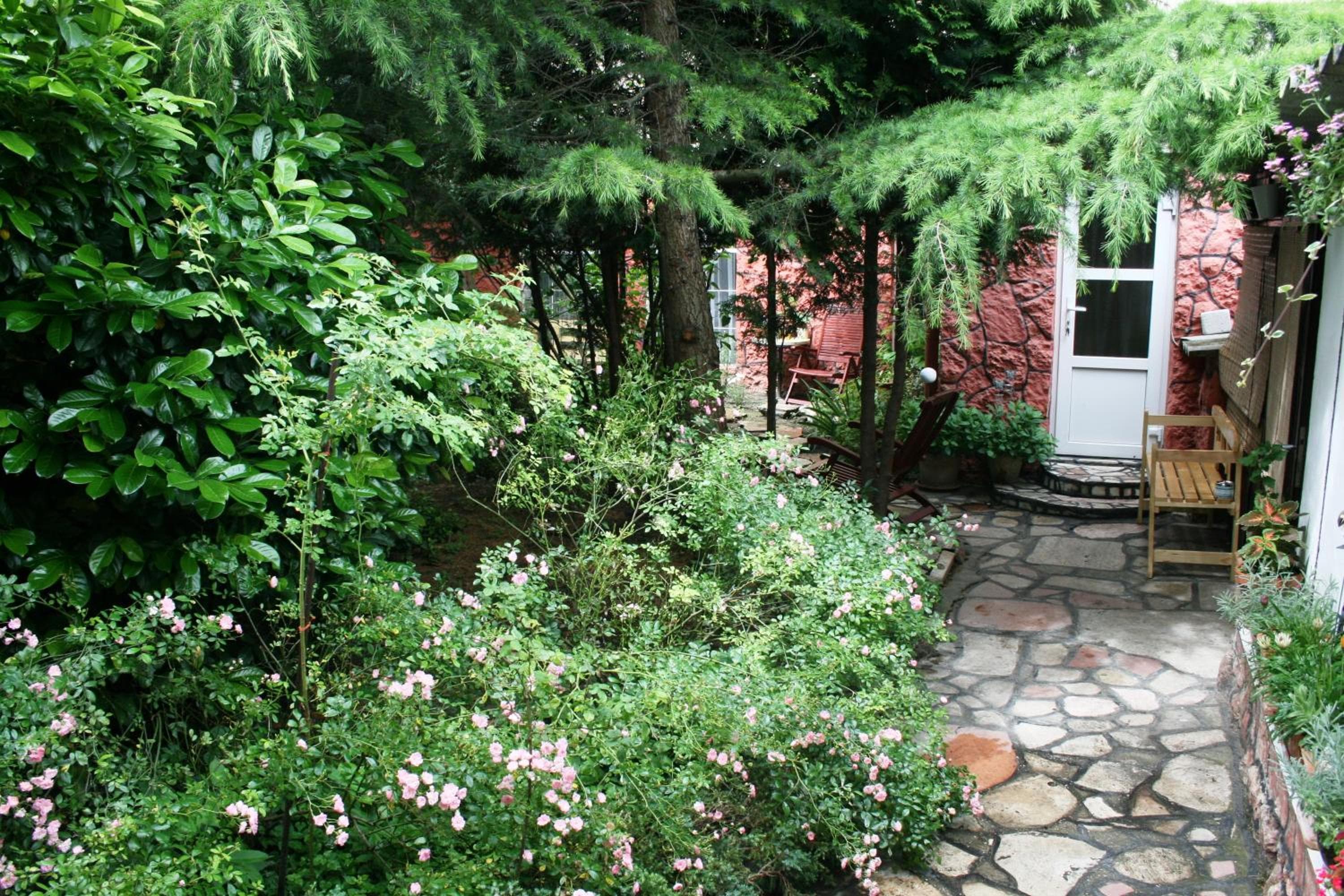 Photo 29