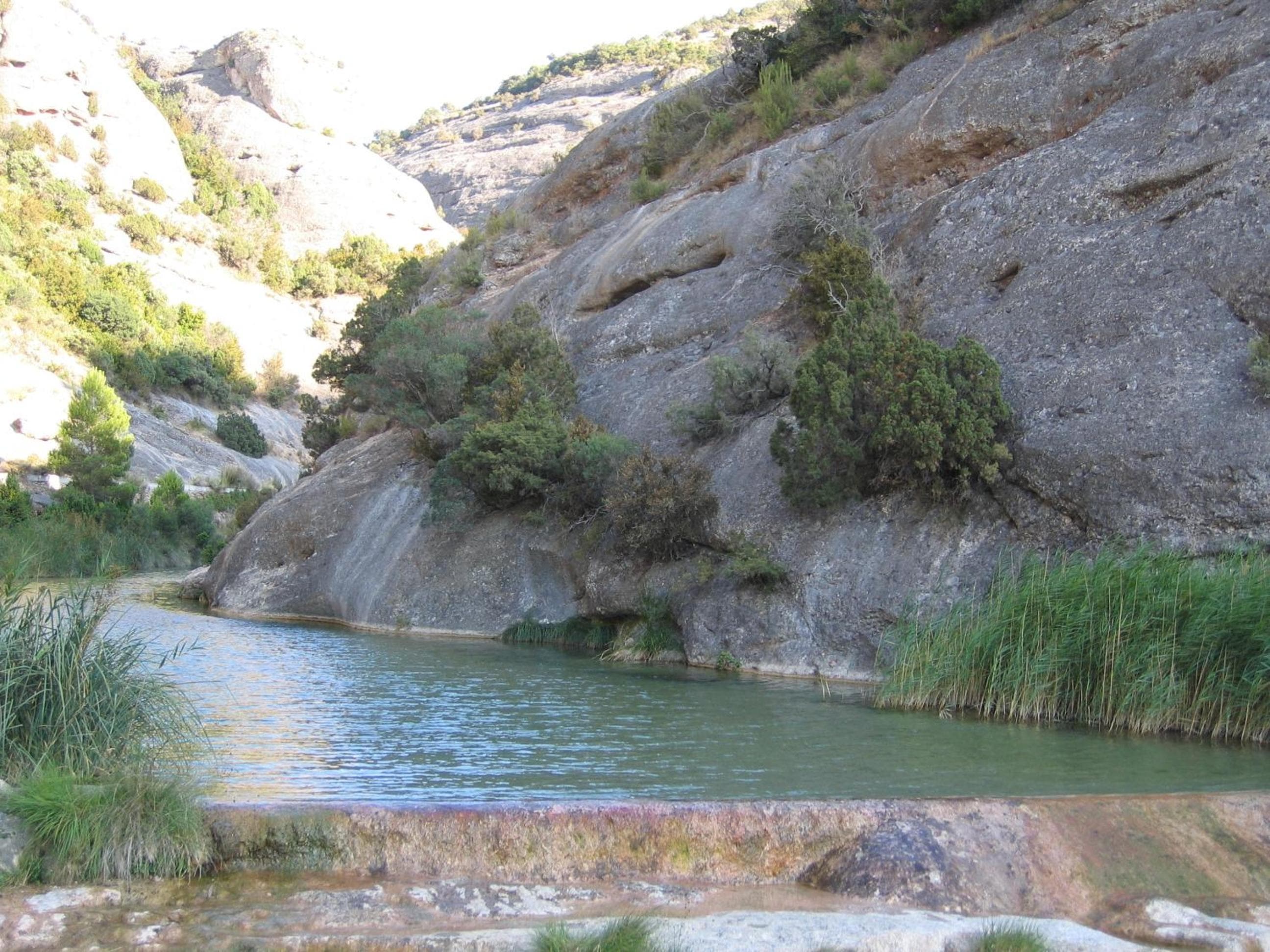 Photo 48