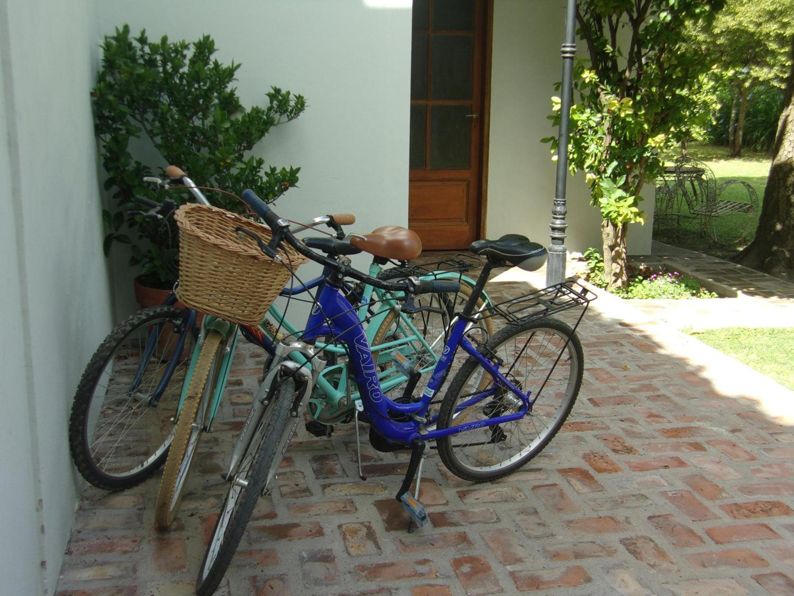 Photo 47