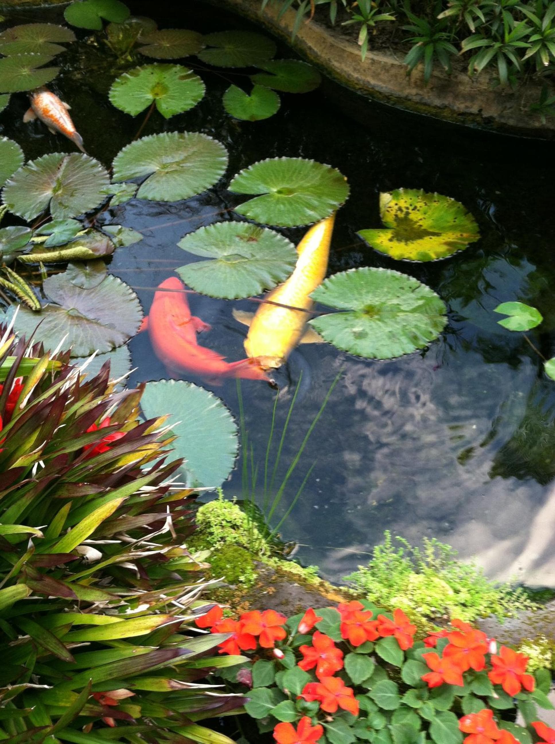 Photo 14