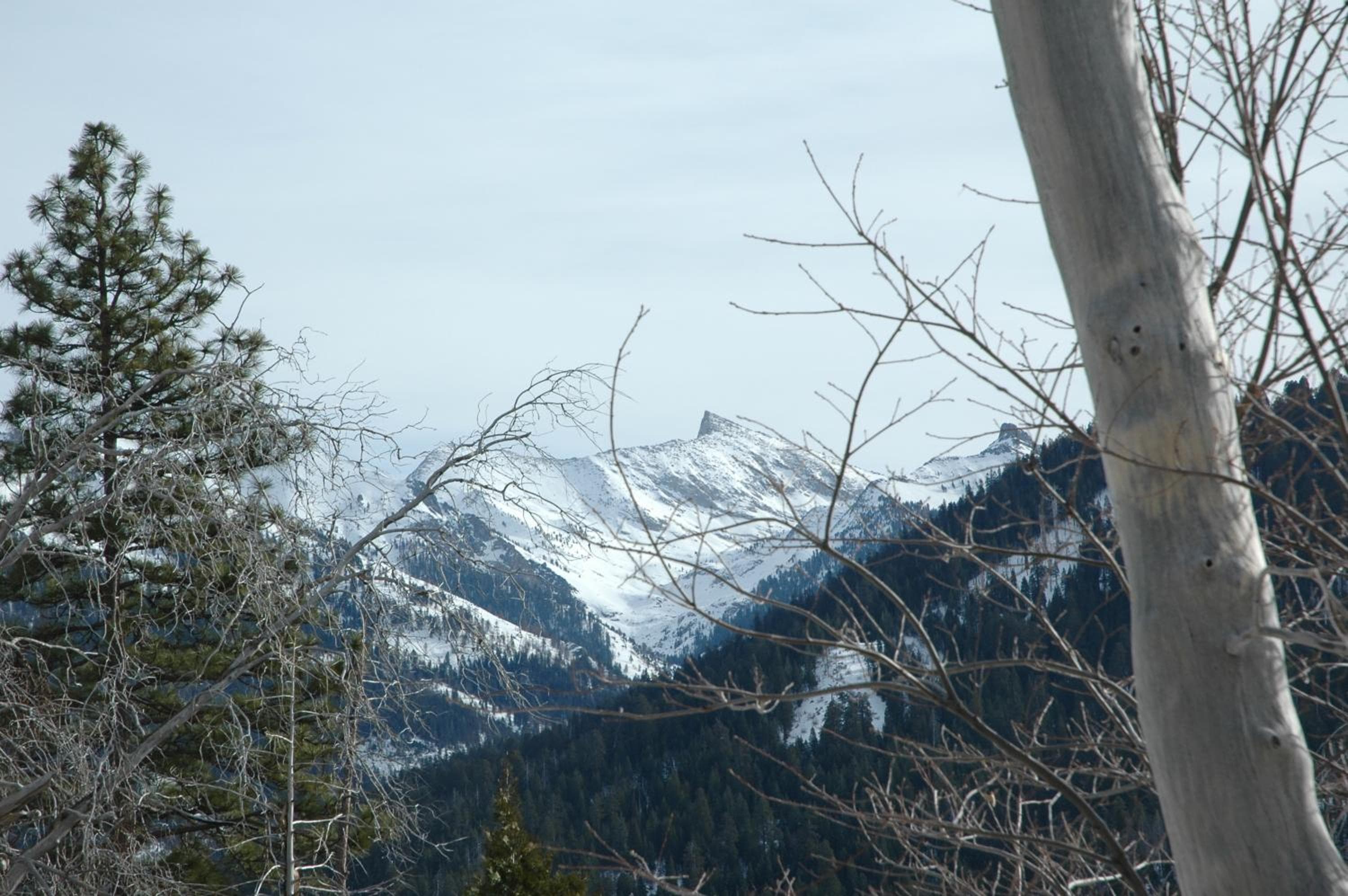 Photo 49