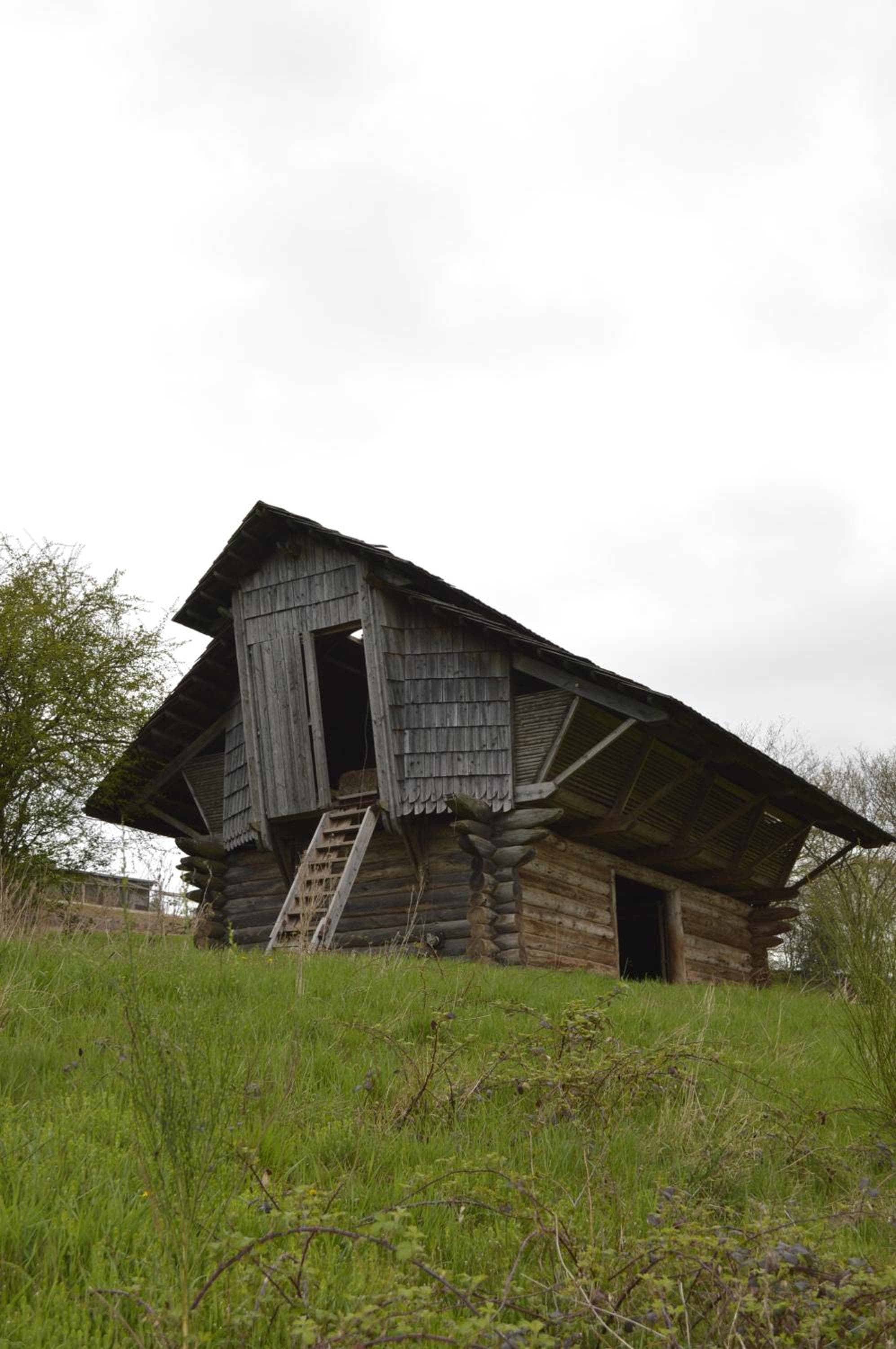 Photo 42