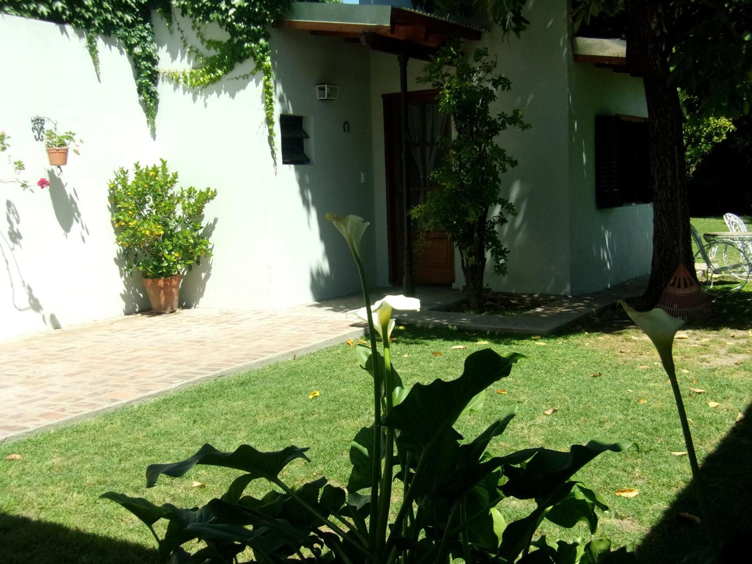 Photo 7