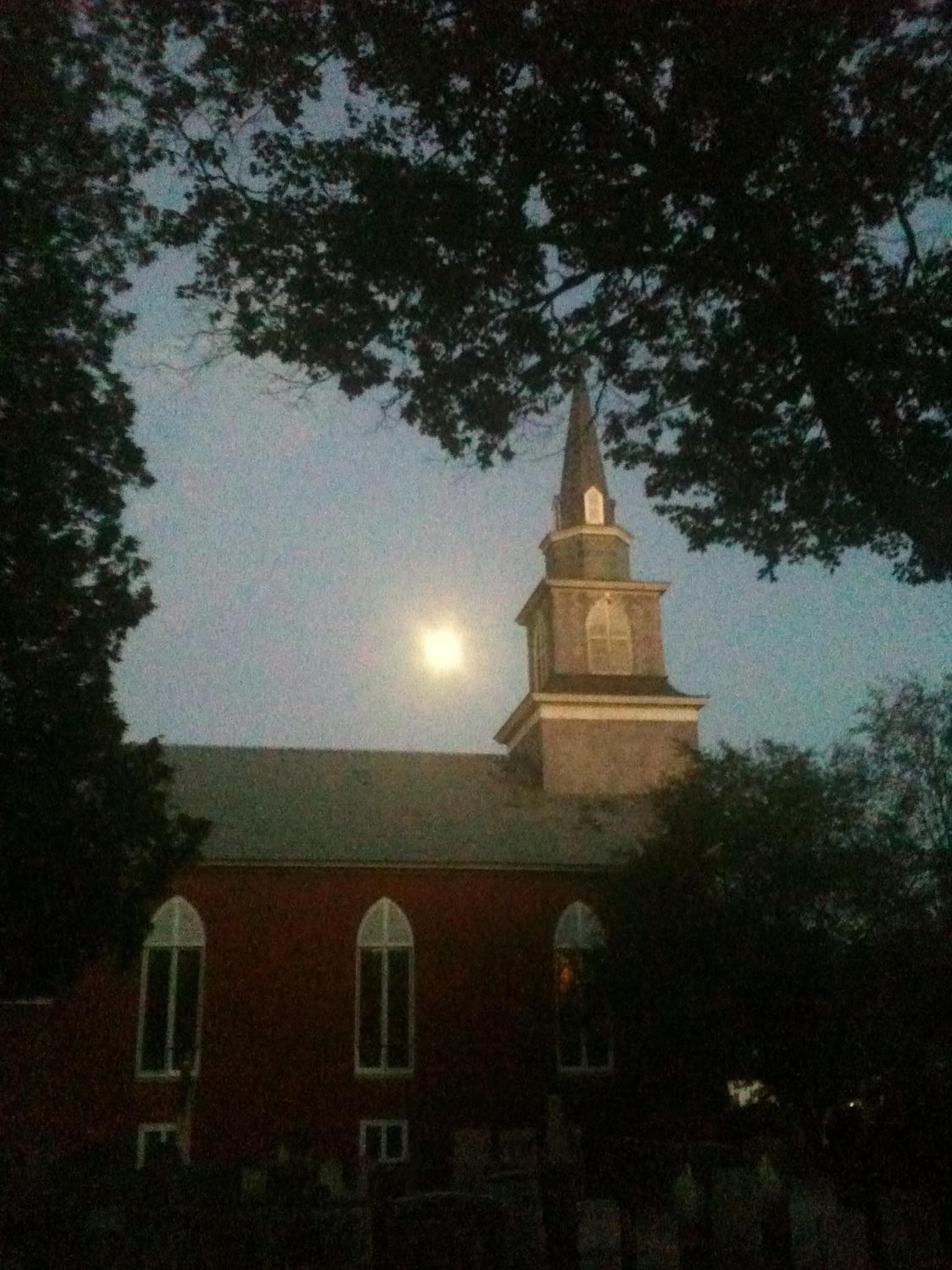 Photo 47