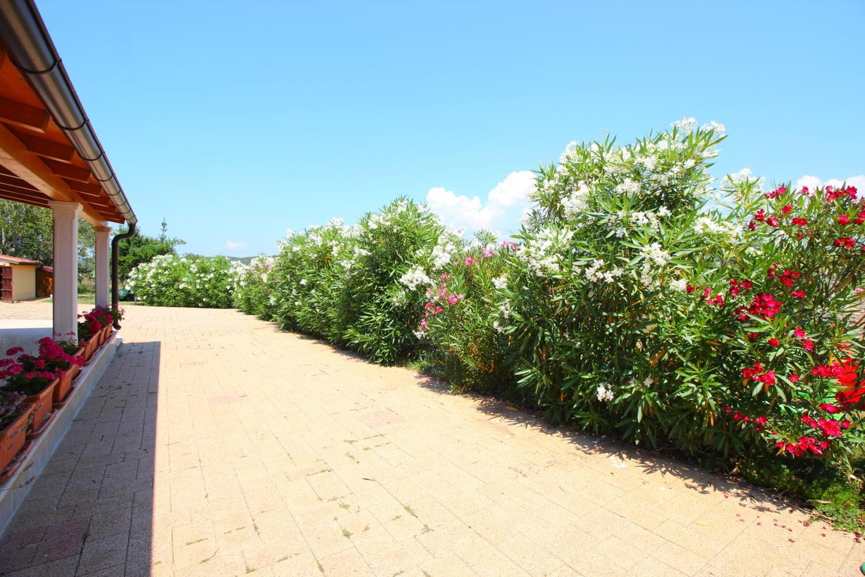 Photo 40