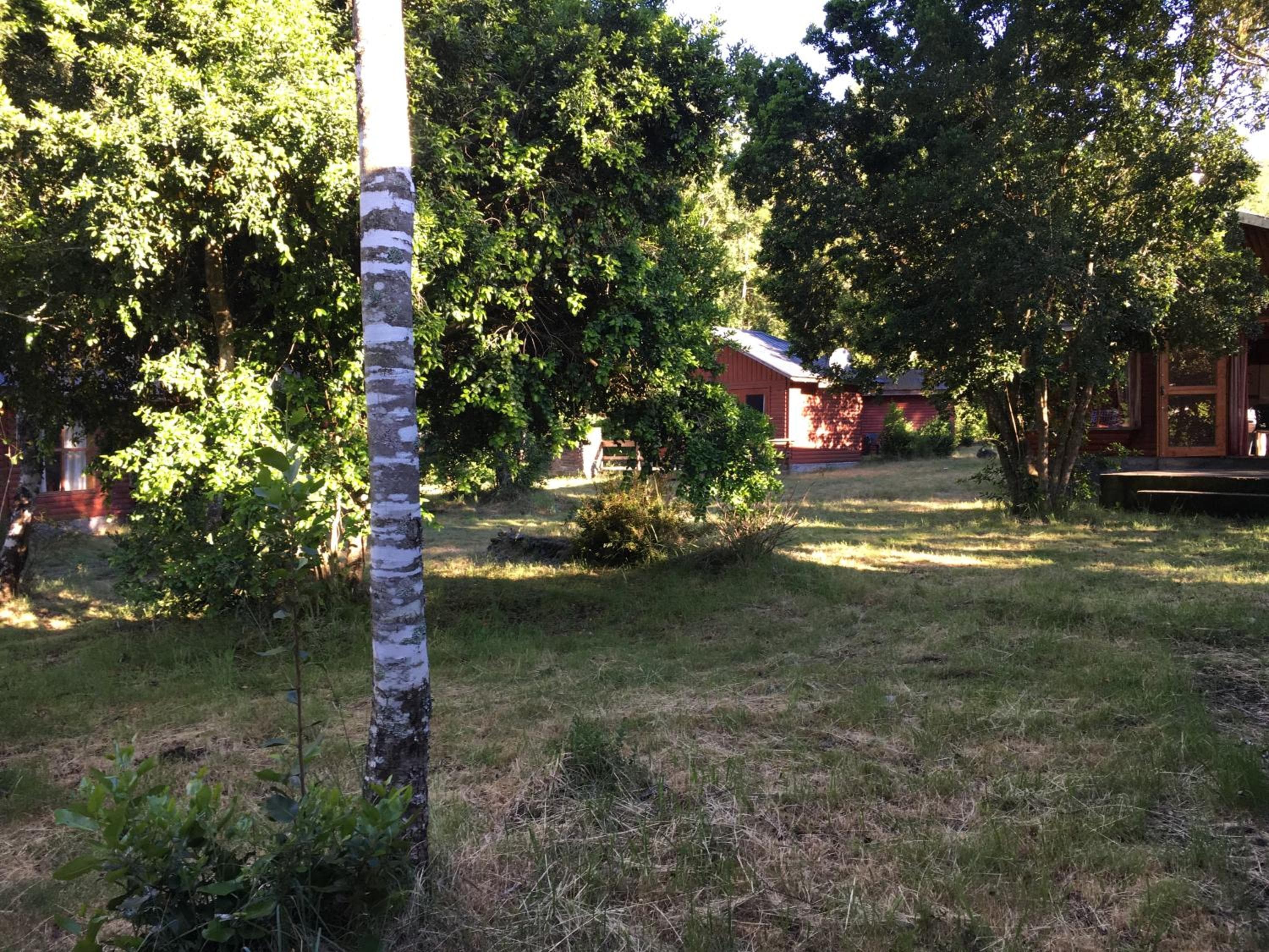 Photo 34