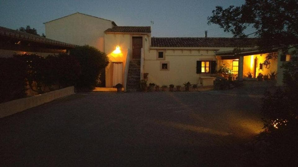 Photo 31