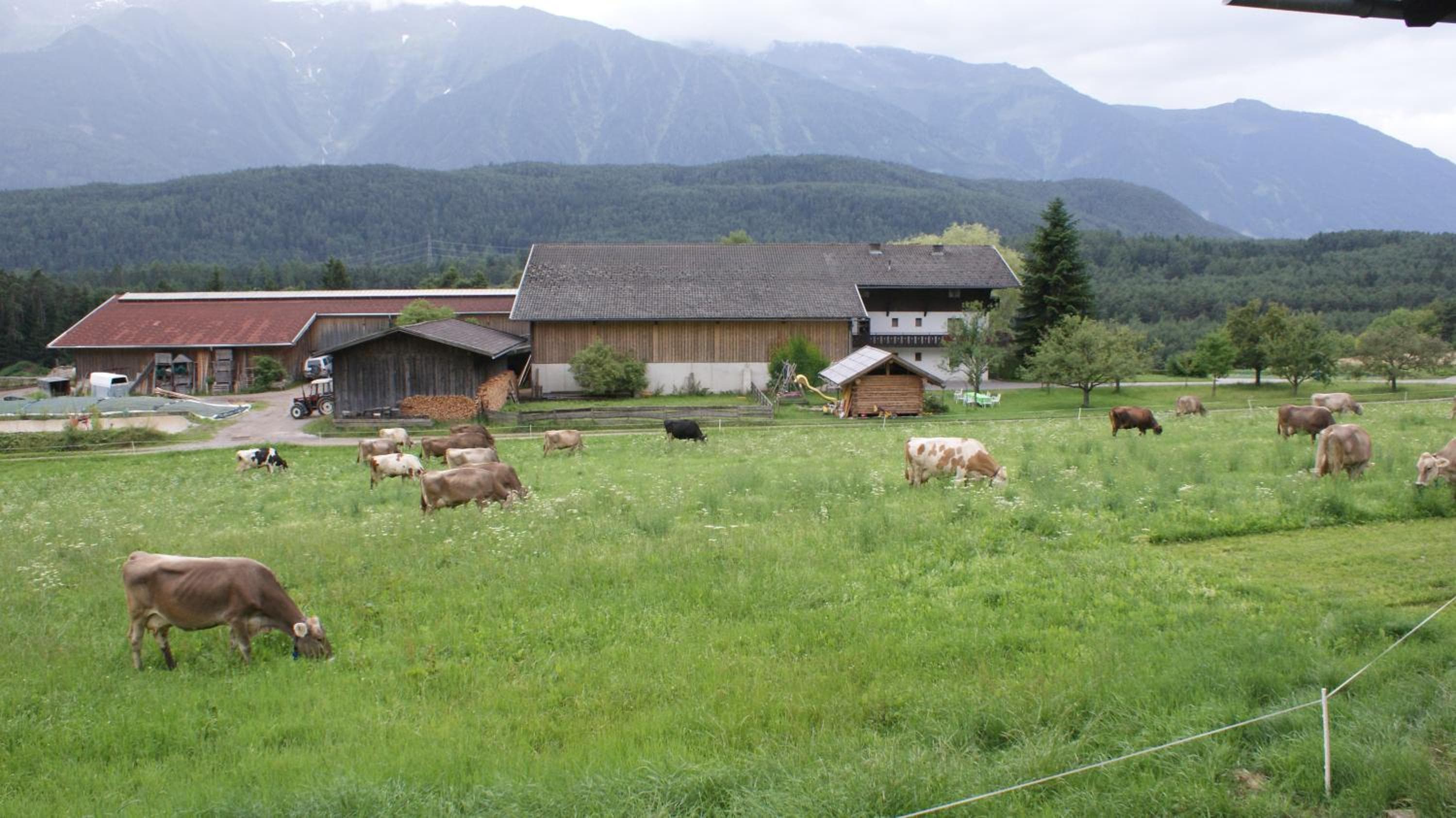Photo 23