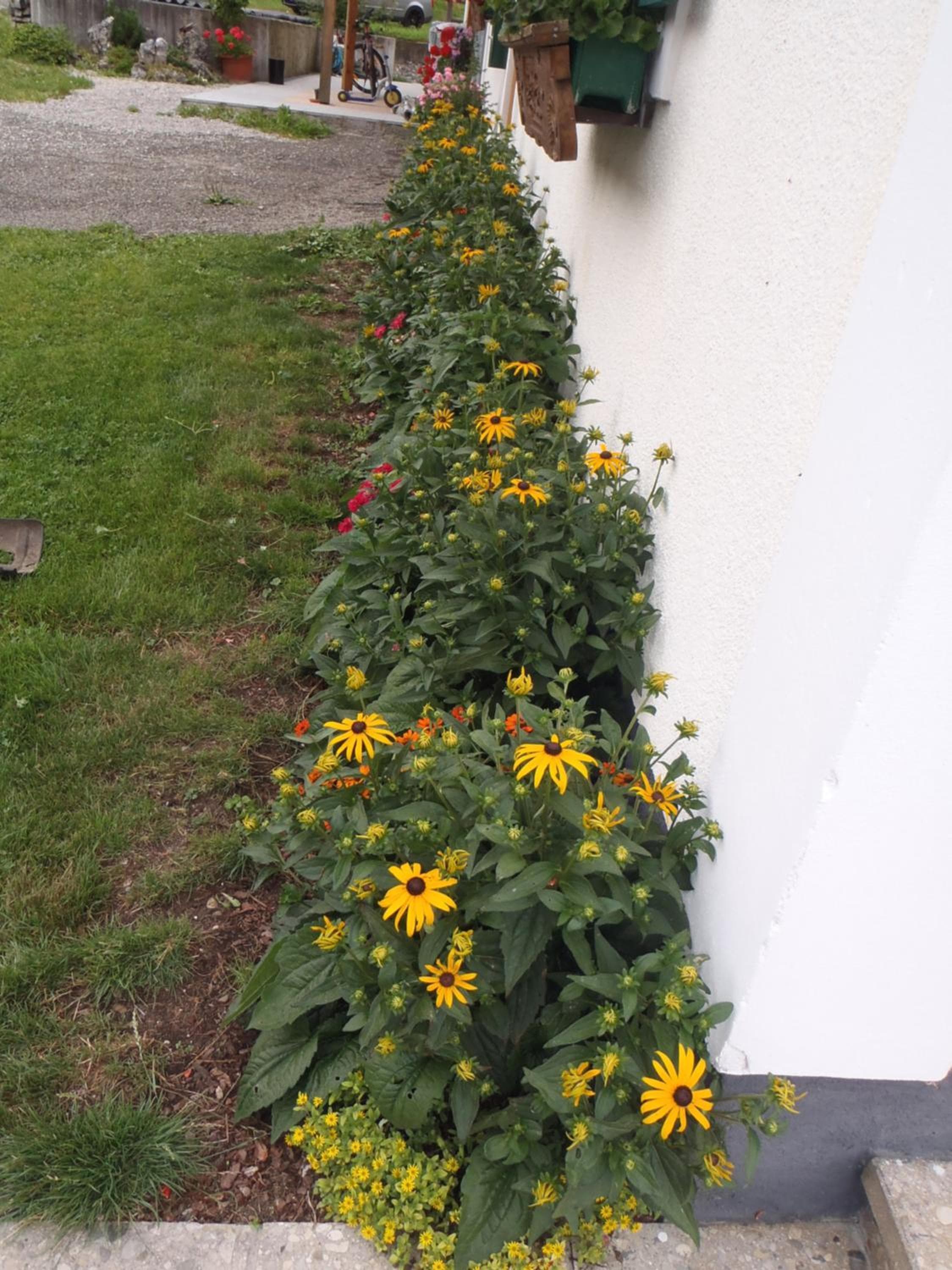 Photo 38