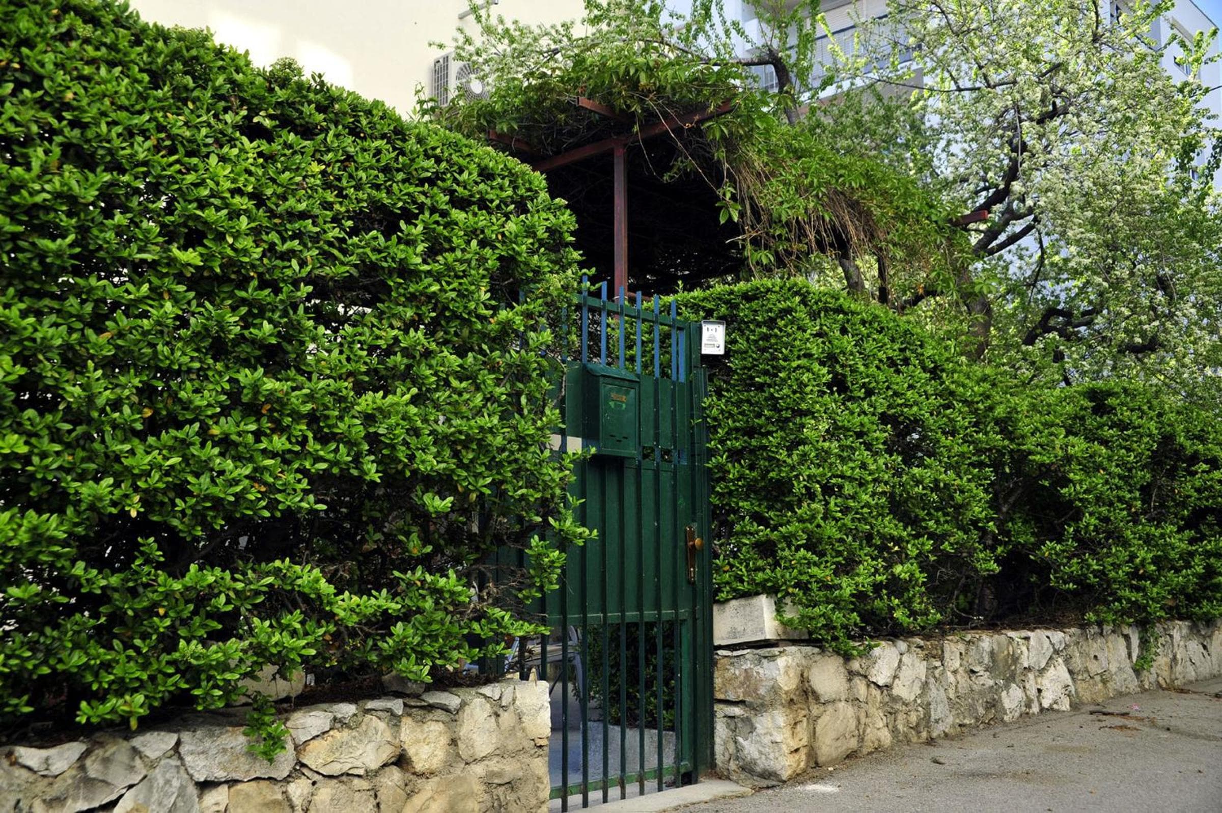 Photo 14