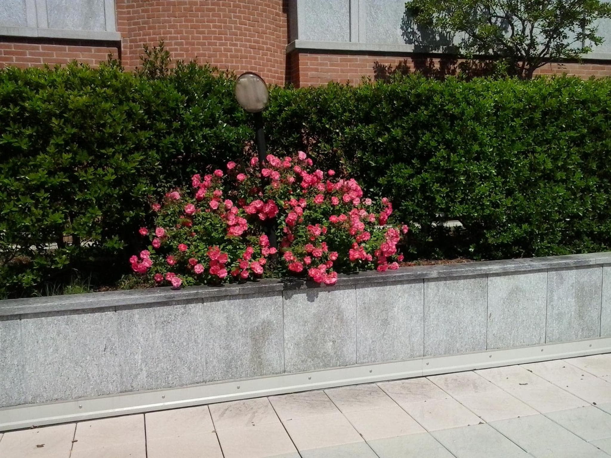 Photo 22