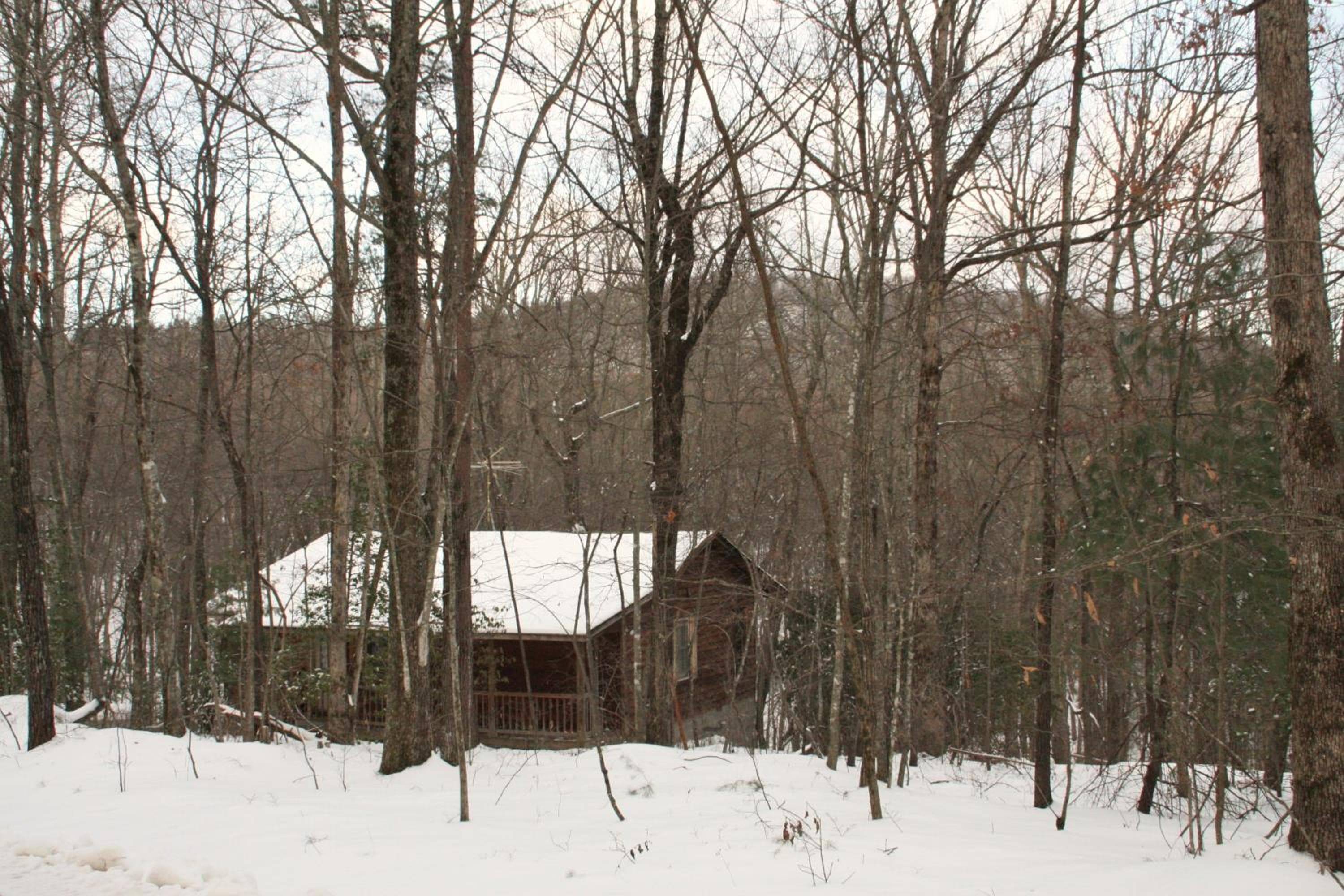Photo 20