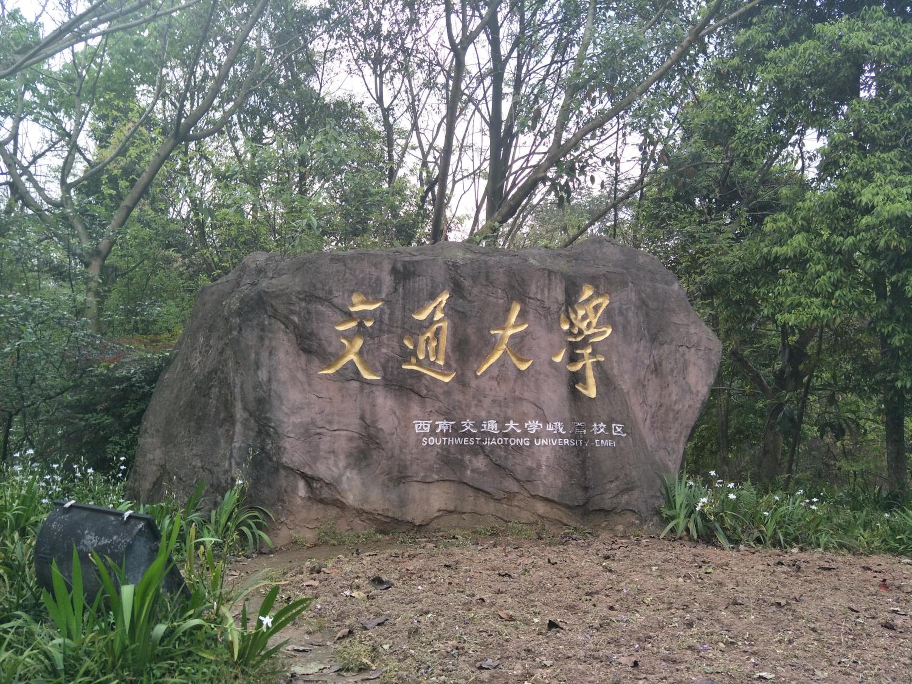 Photo 39
