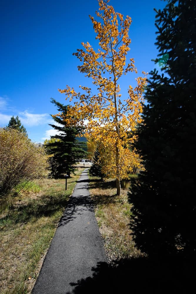 Photo 30