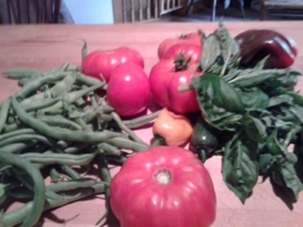Photo 10