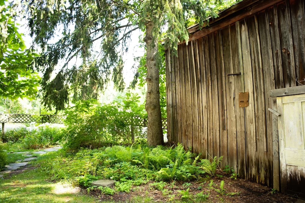 Photo 28