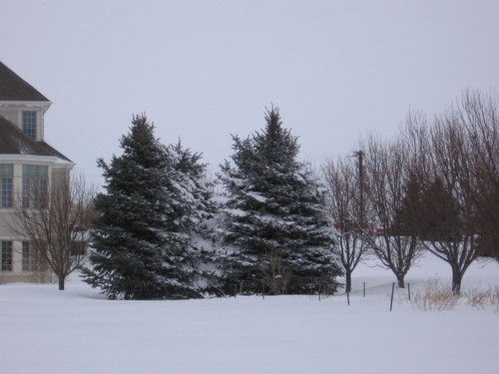 Photo 39