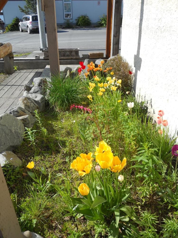 Photo 20