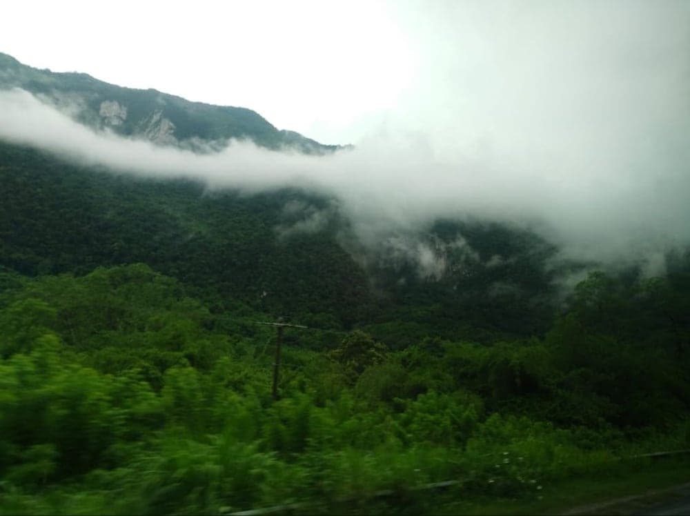 Photo 31