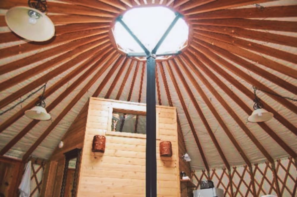 Photo 60
